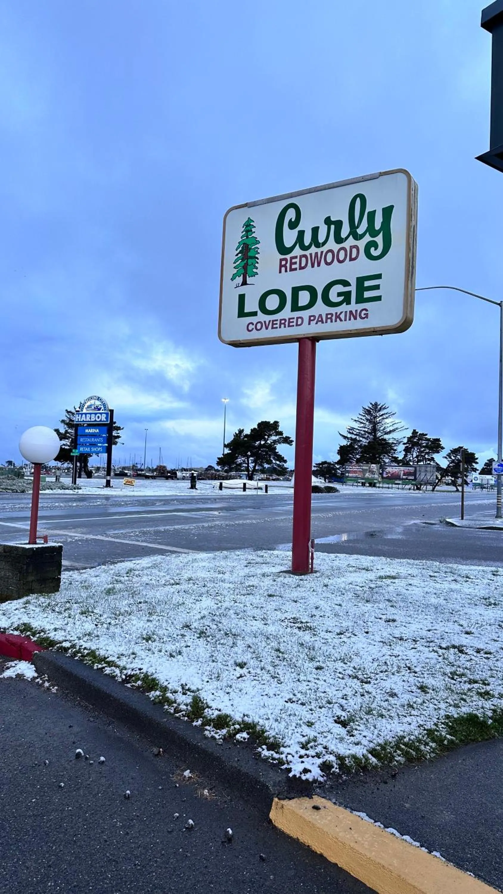 Curly Redwood Lodge