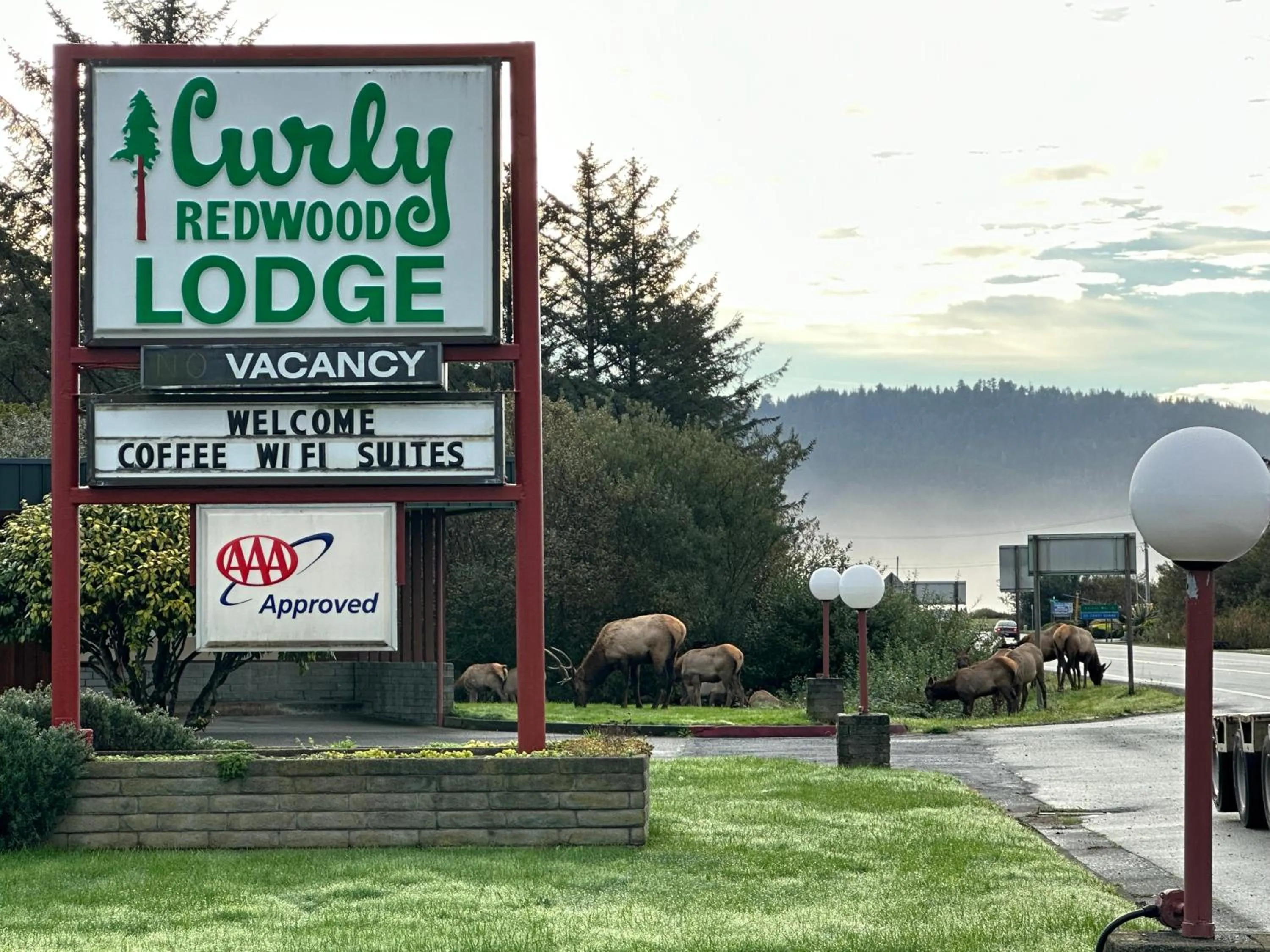 Curly Redwood Lodge