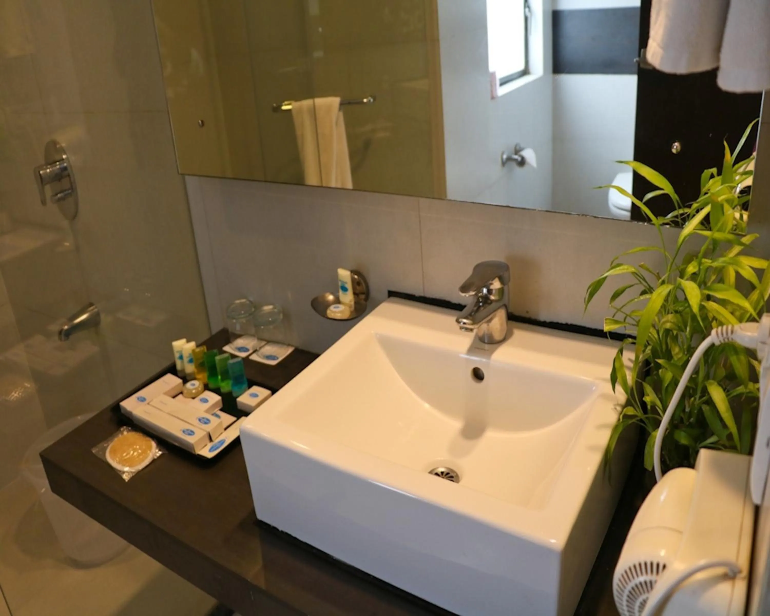 Bathroom in The Waterfront Shaw Lavasa