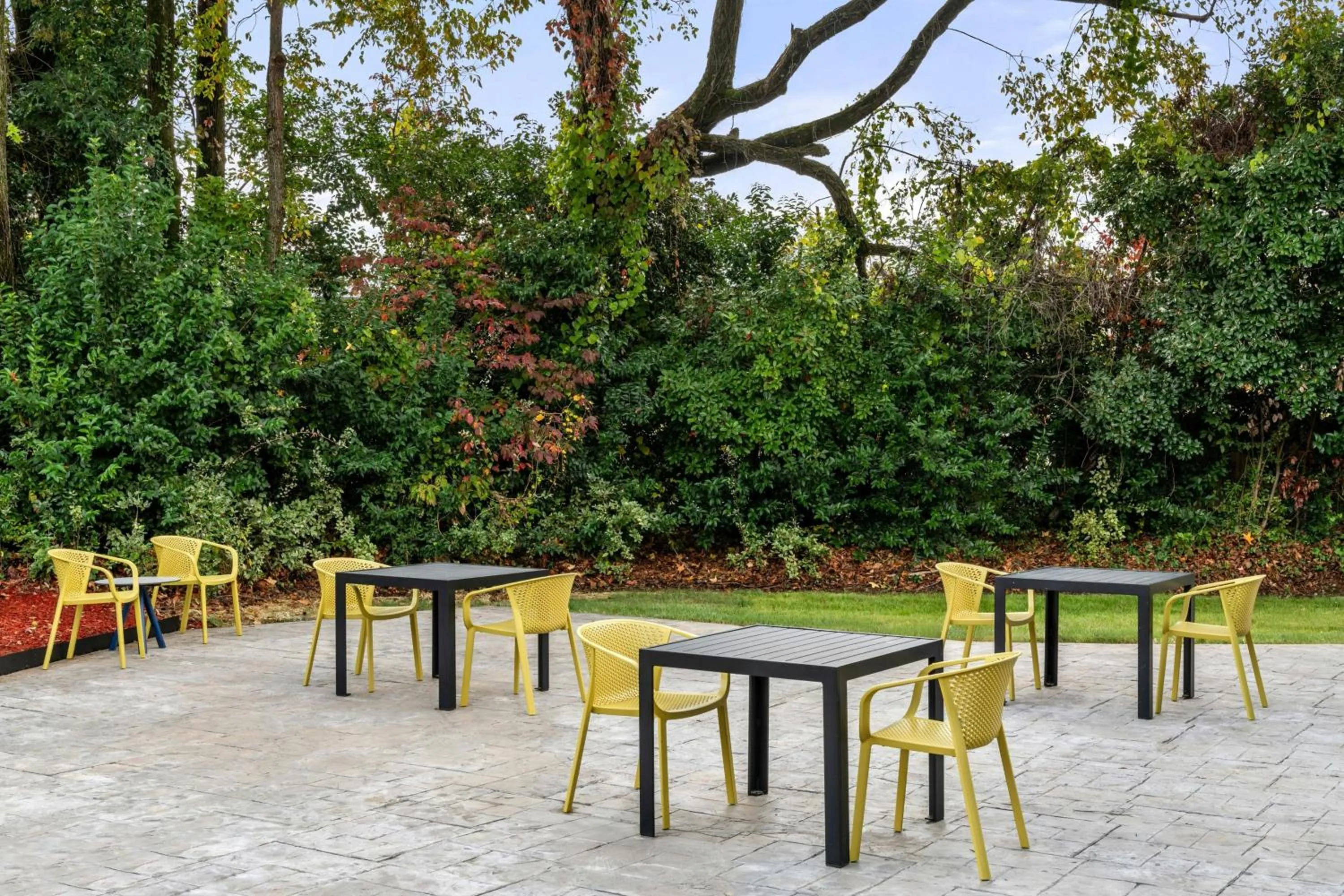 Other in City Express by Marriott Charlotte South End