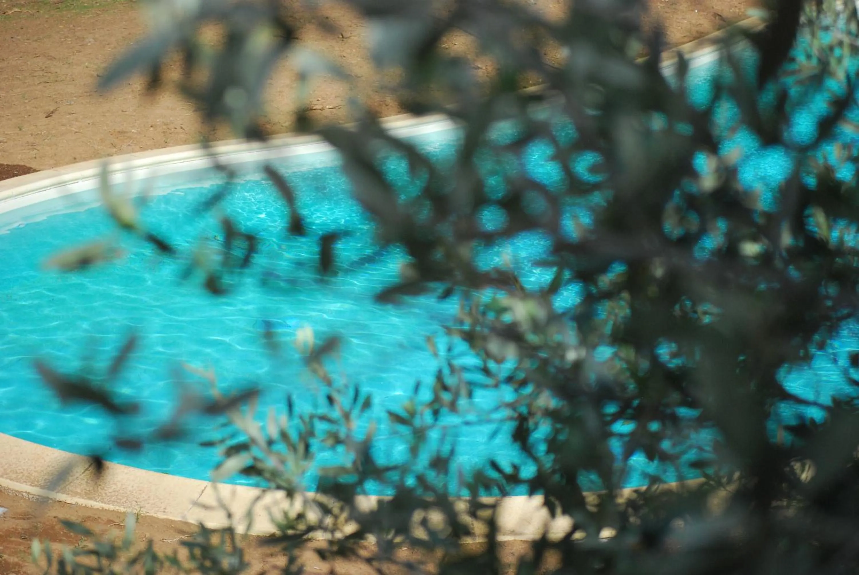 Palazzo Conforti Tree House Resort