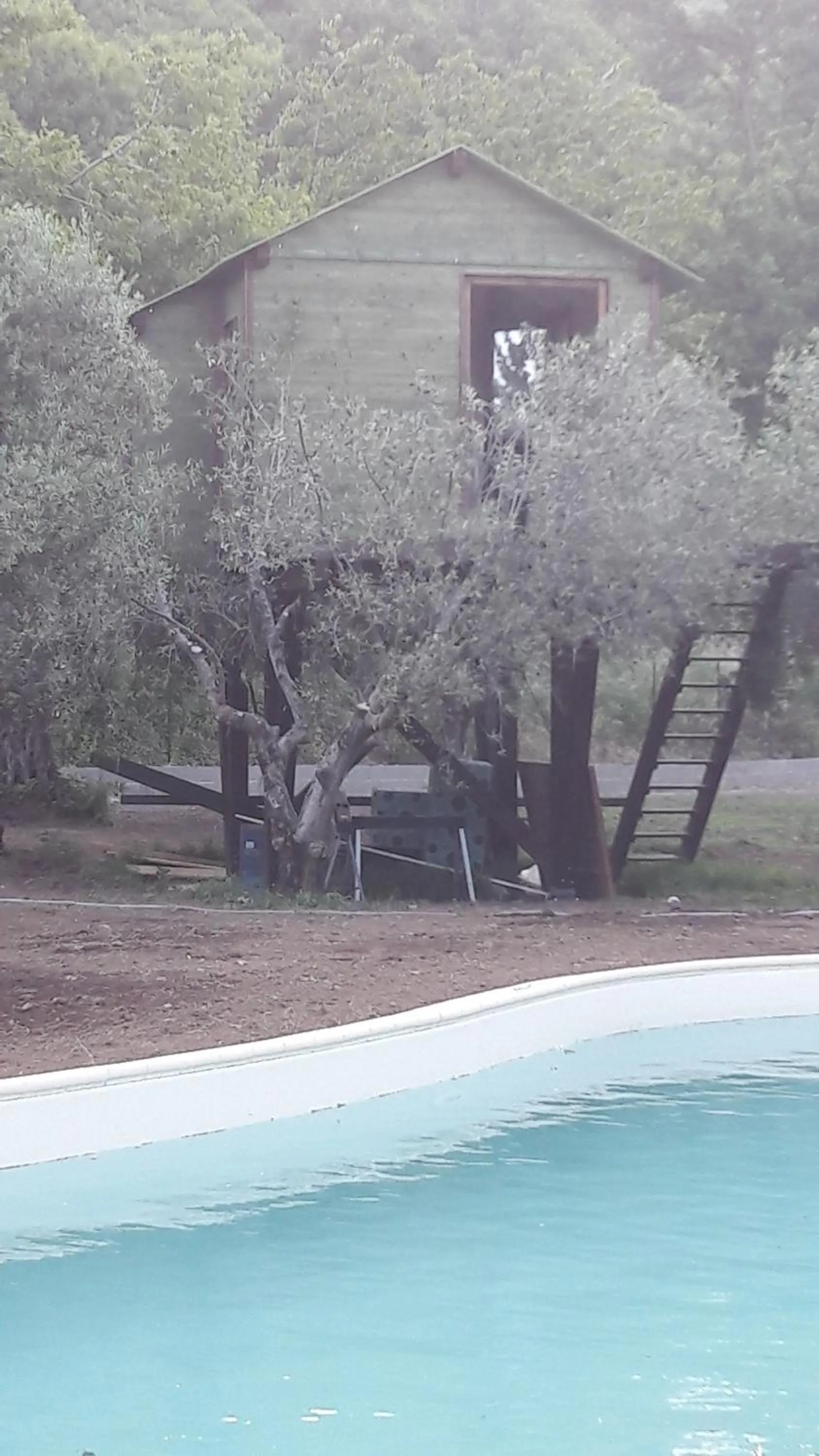 Photo of the whole room in Palazzo Conforti Tree House Resort