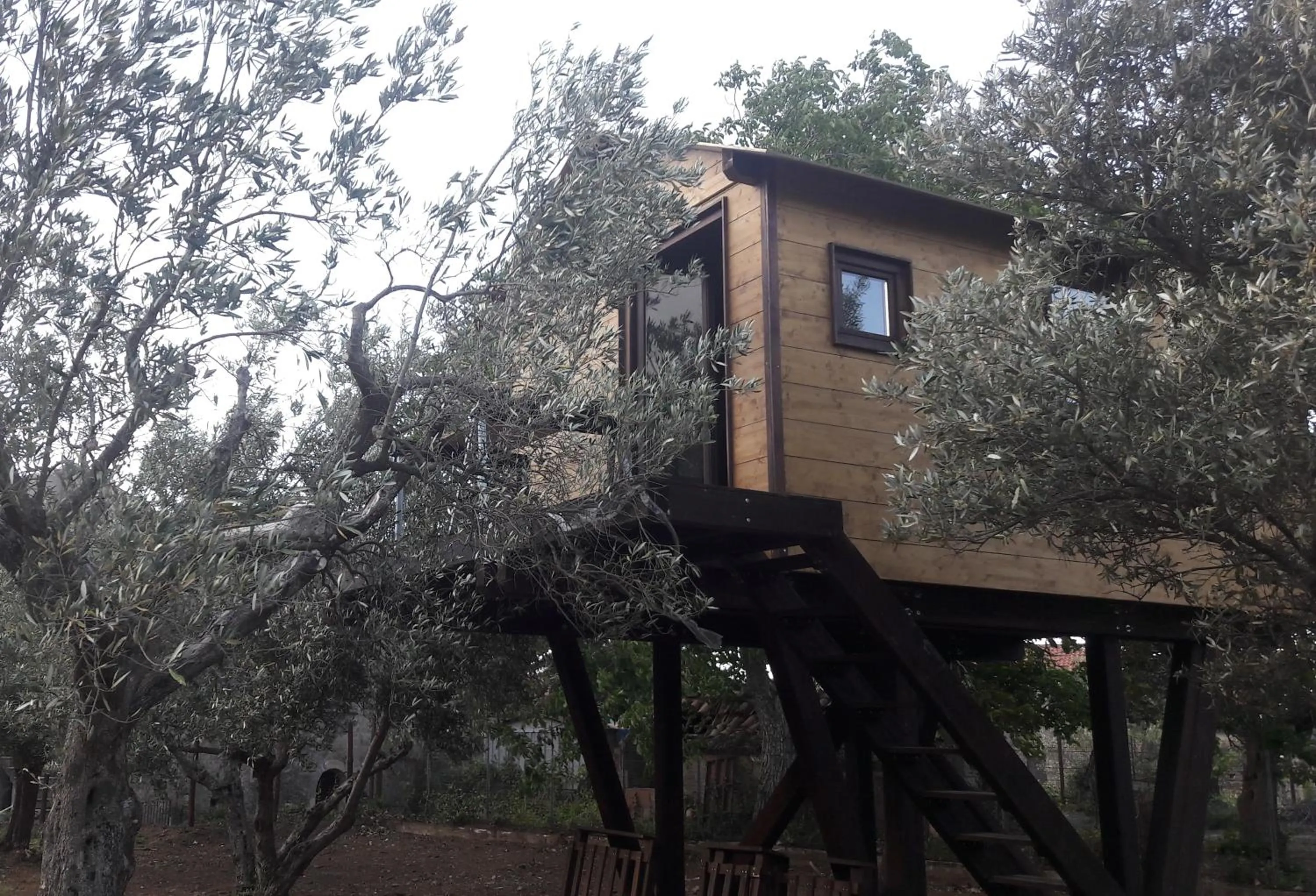 Property building in Palazzo Conforti Tree House Resort