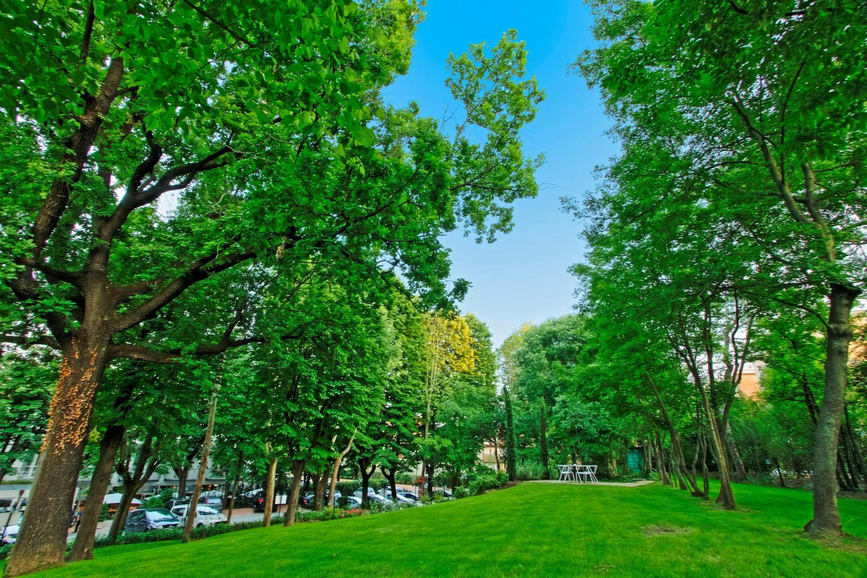 Garden in Boutique Hotel Calzavecchio