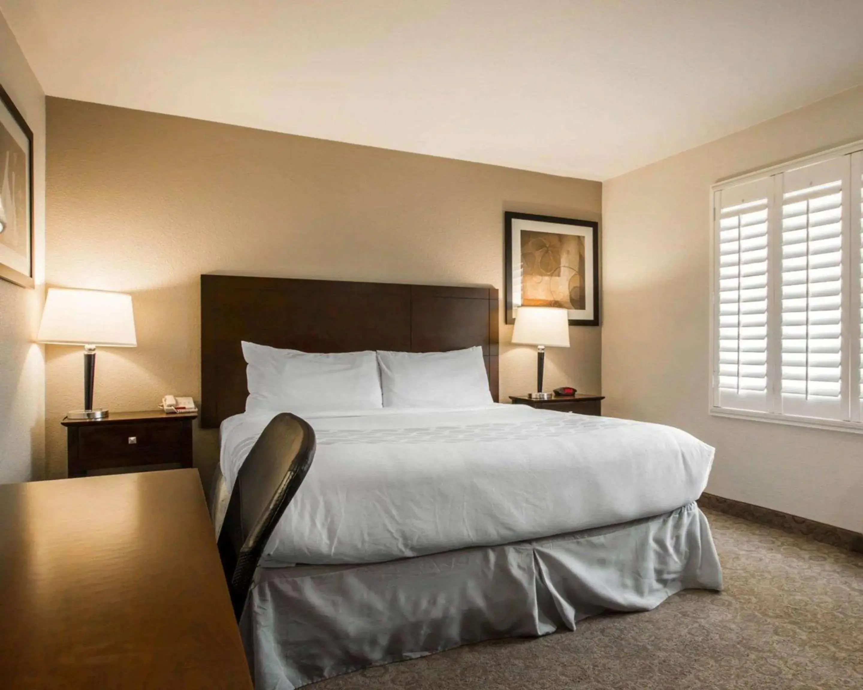 Bedroom, Bed in Rodeway Inn Convention Center Bedroom, Bed in Rodeway Inn Convention Center