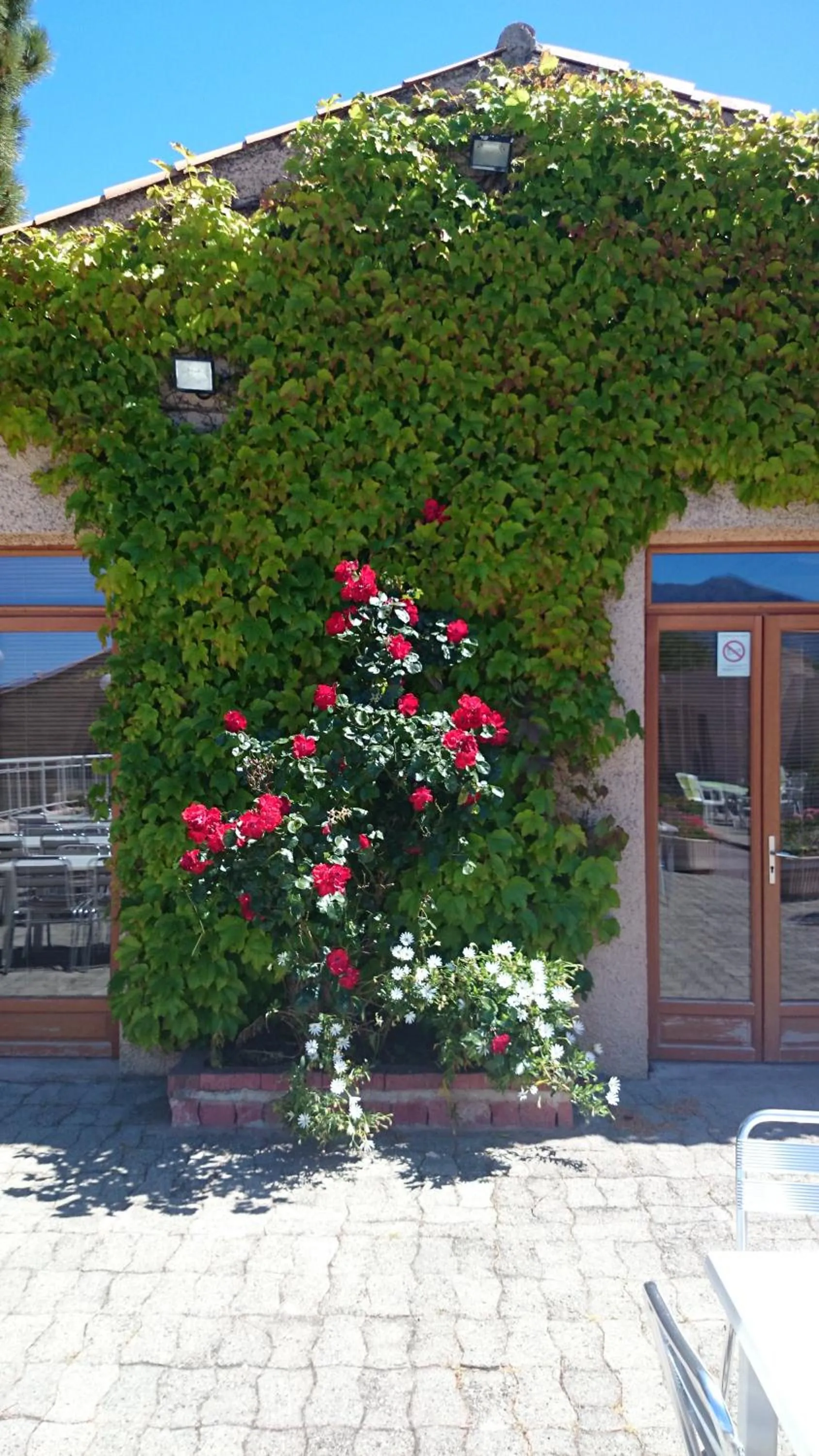 Facade/entrance in Hôtel "U Nebbiu"