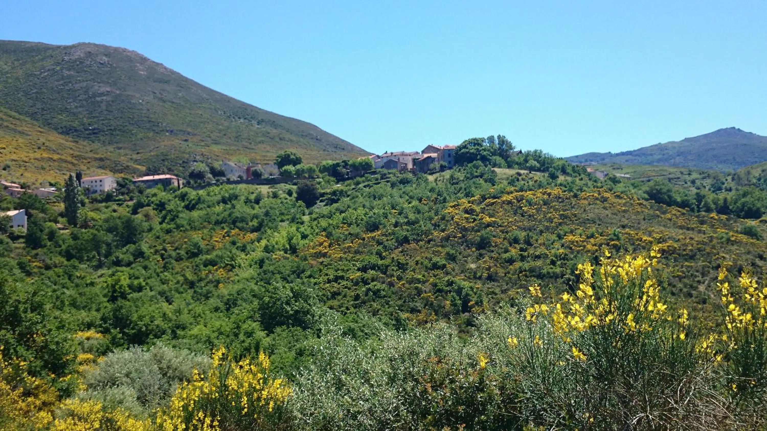 Nearby landmark in Hôtel "U Nebbiu"