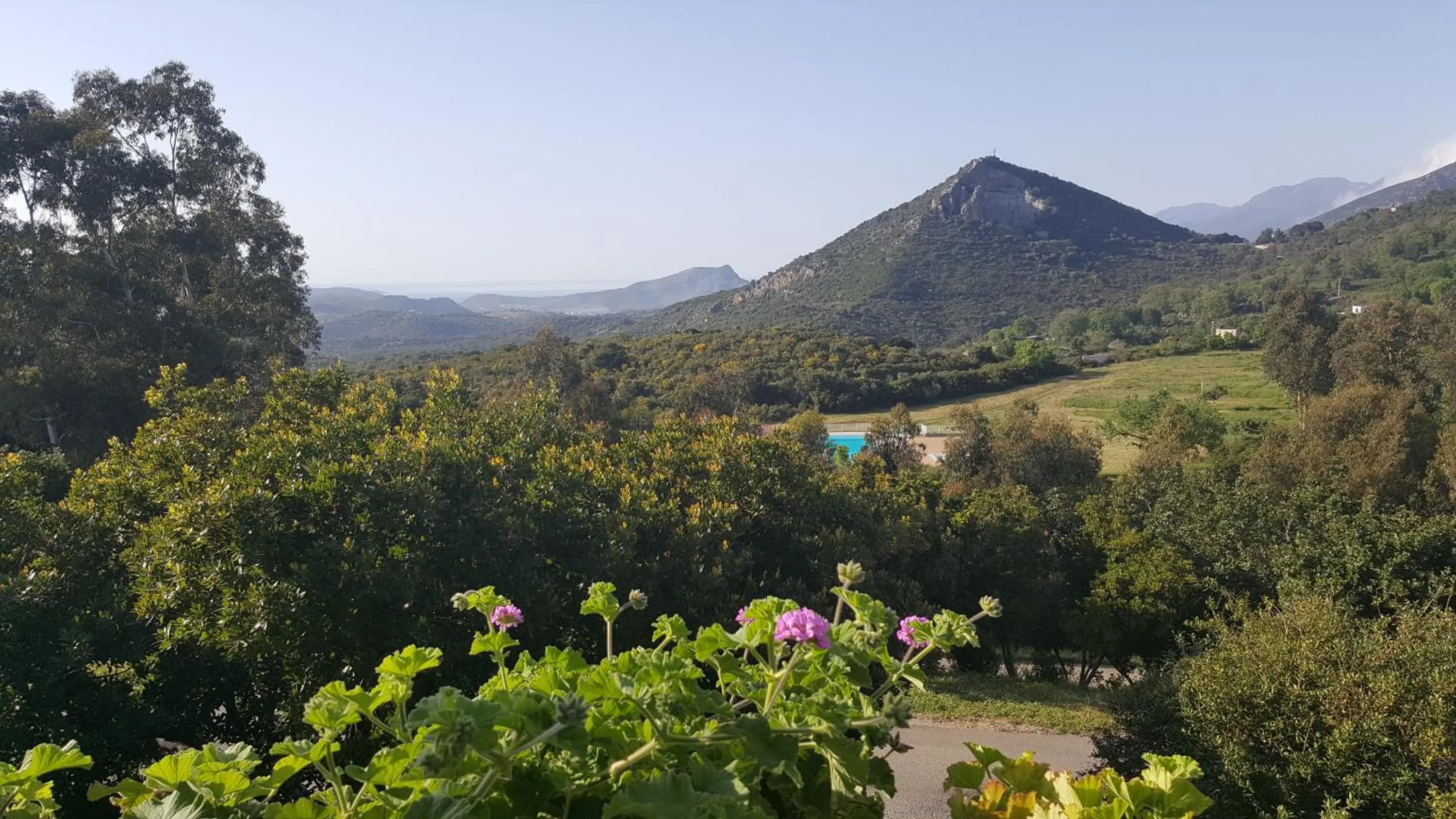 Day in Hôtel "U Nebbiu"