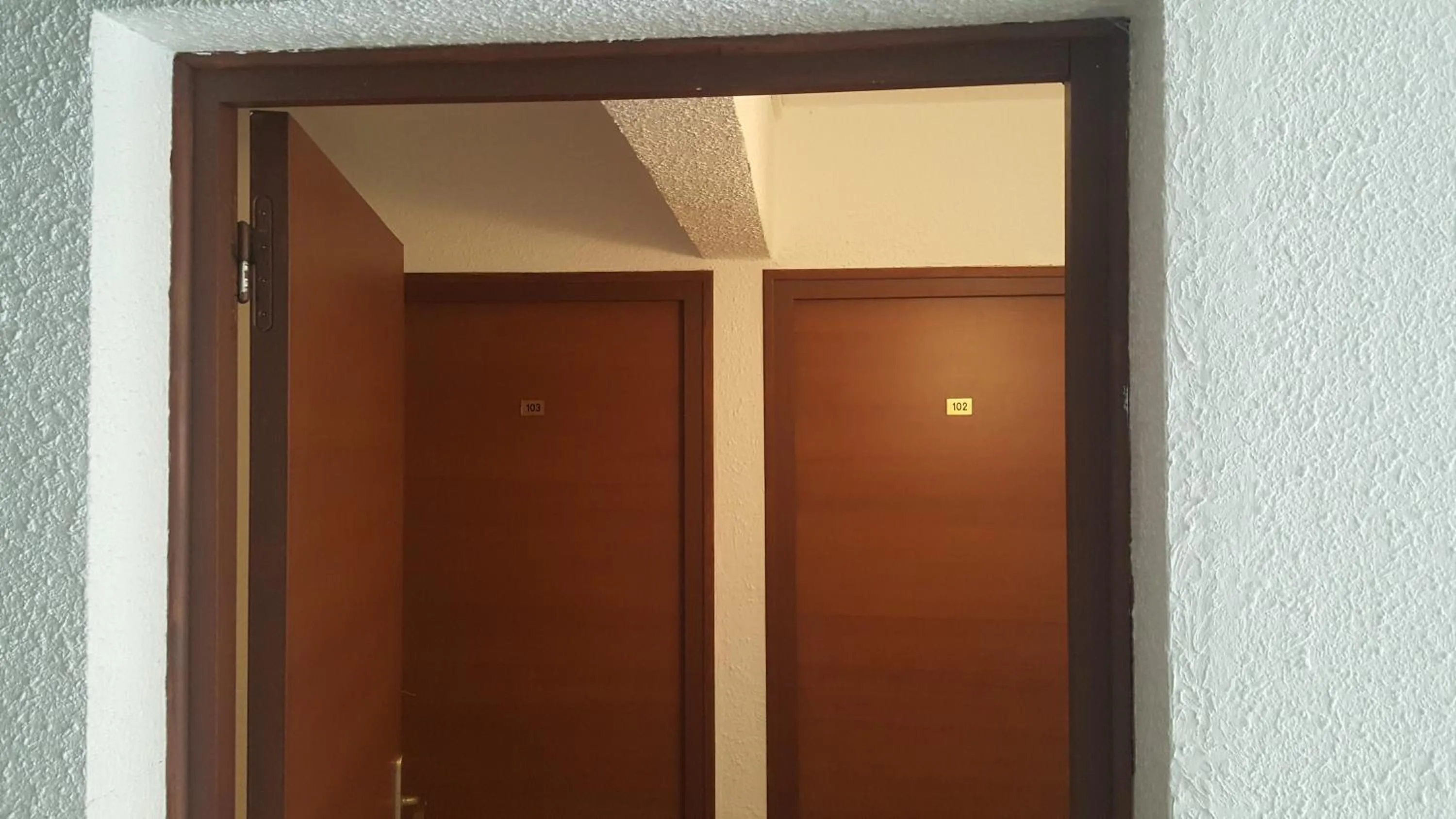 Photo of the whole room in Hôtel "U Nebbiu"
