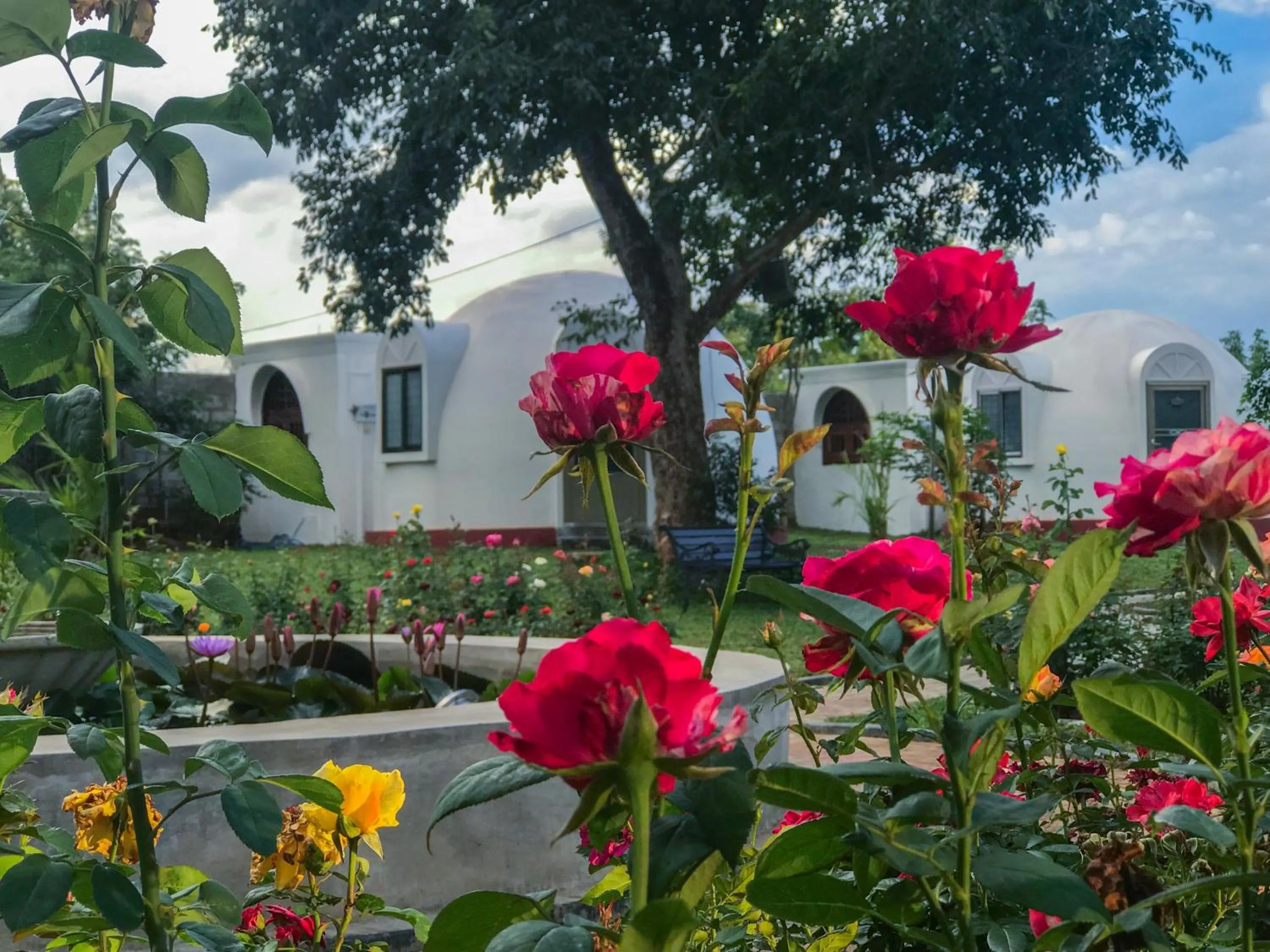 The Lion Kingdom Sigiriya