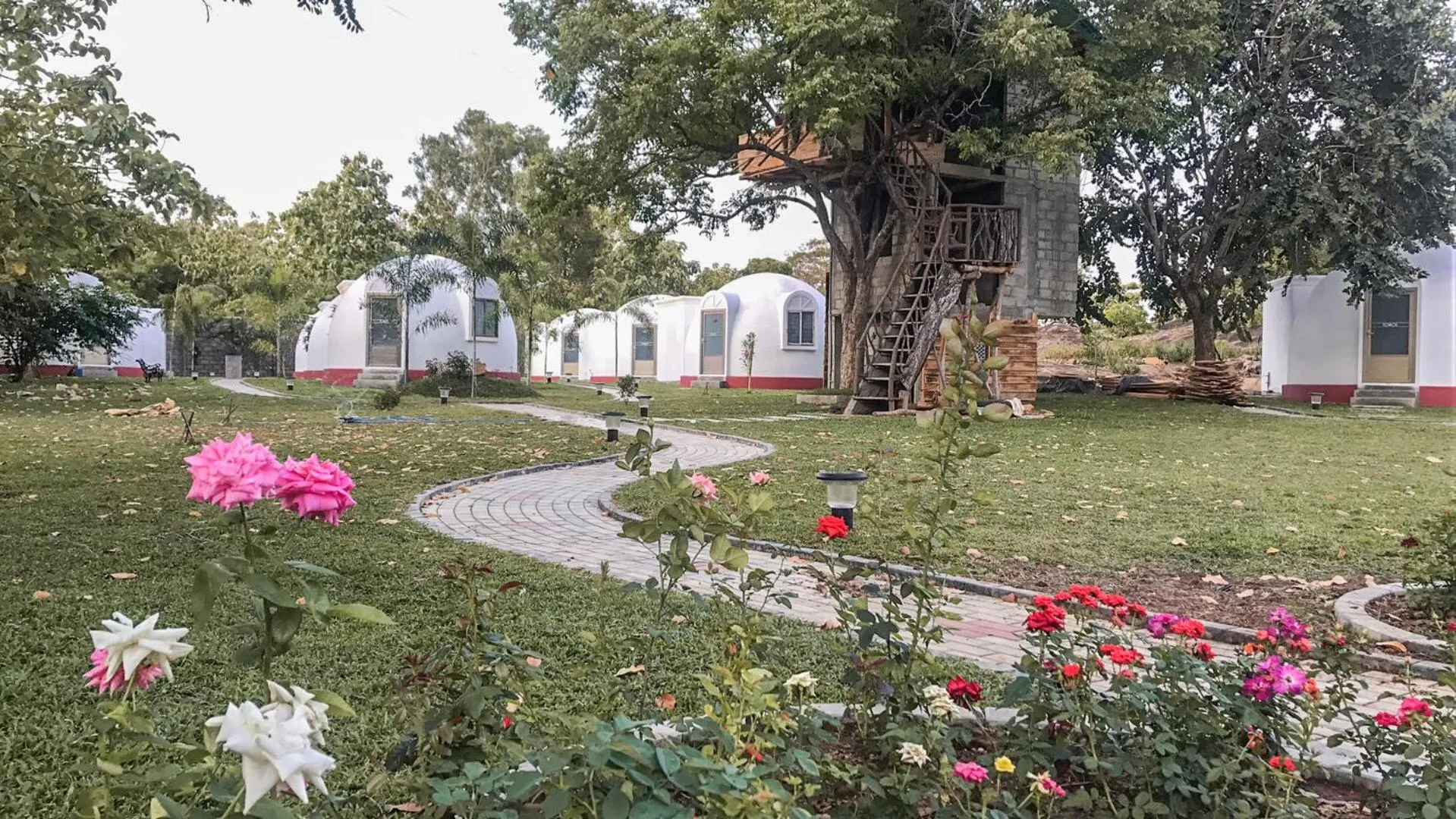 The Lion Kingdom Sigiriya