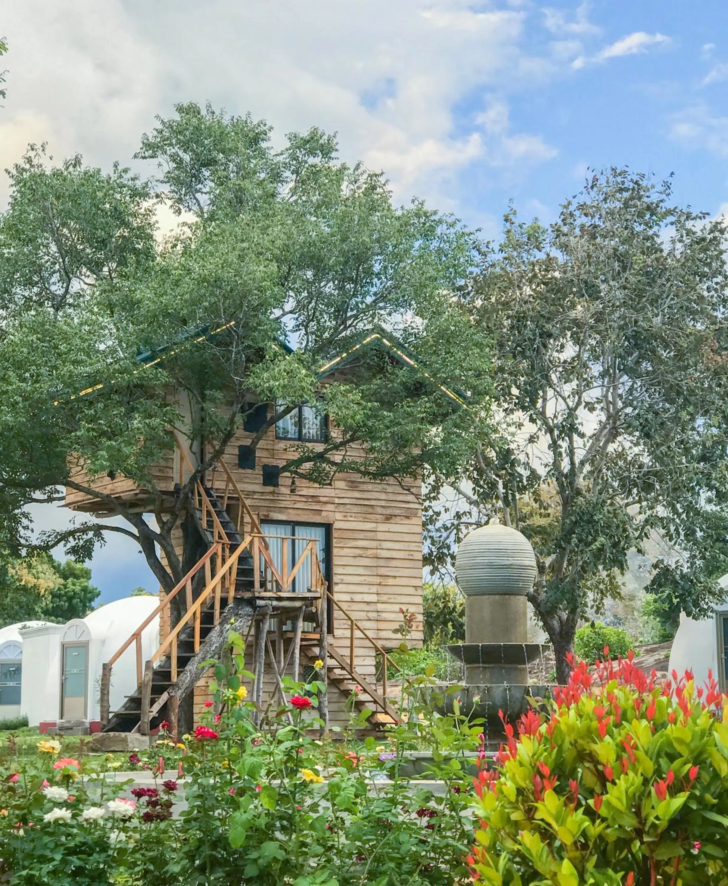 The Lion Kingdom Sigiriya