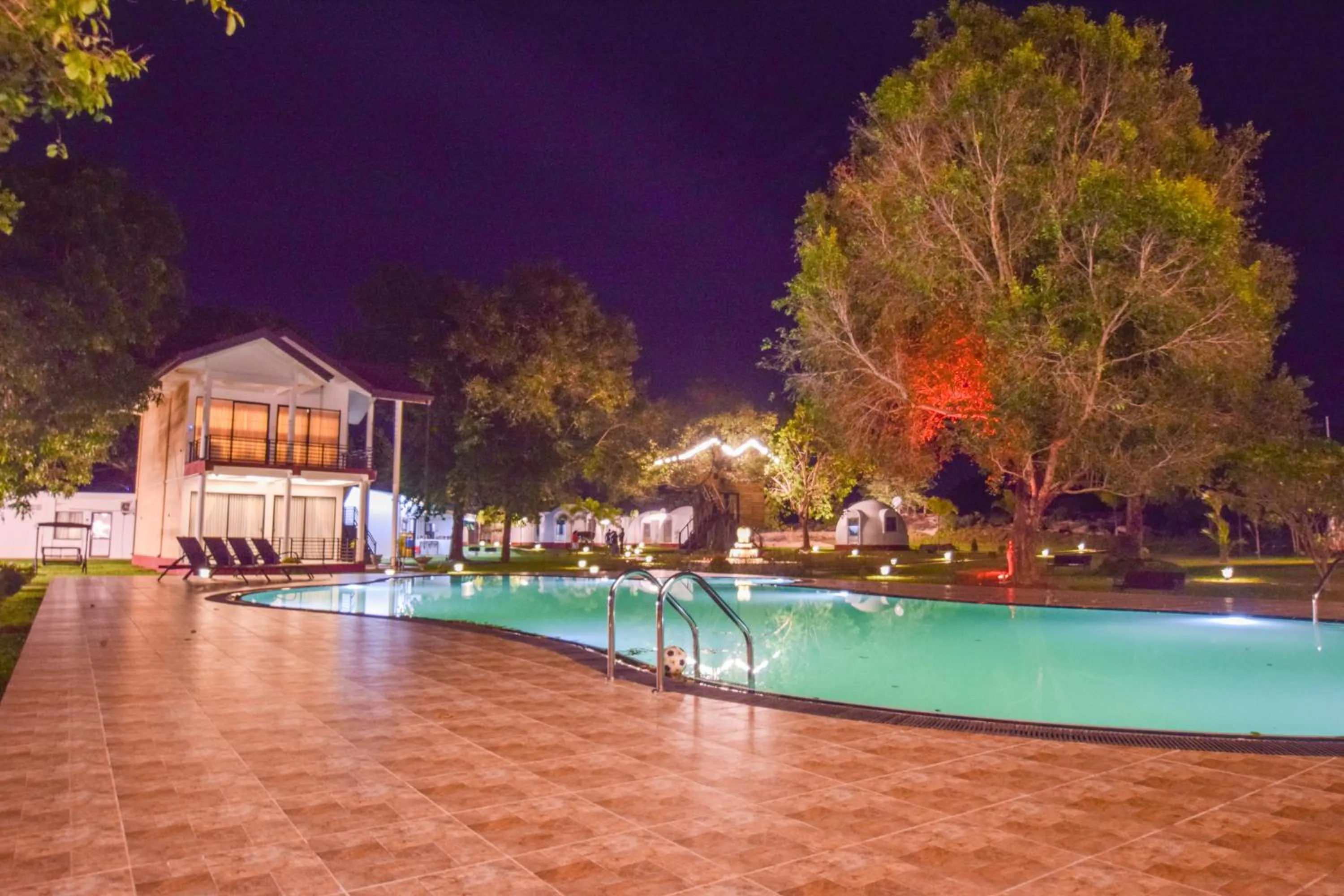 The Lion Kingdom Sigiriya
