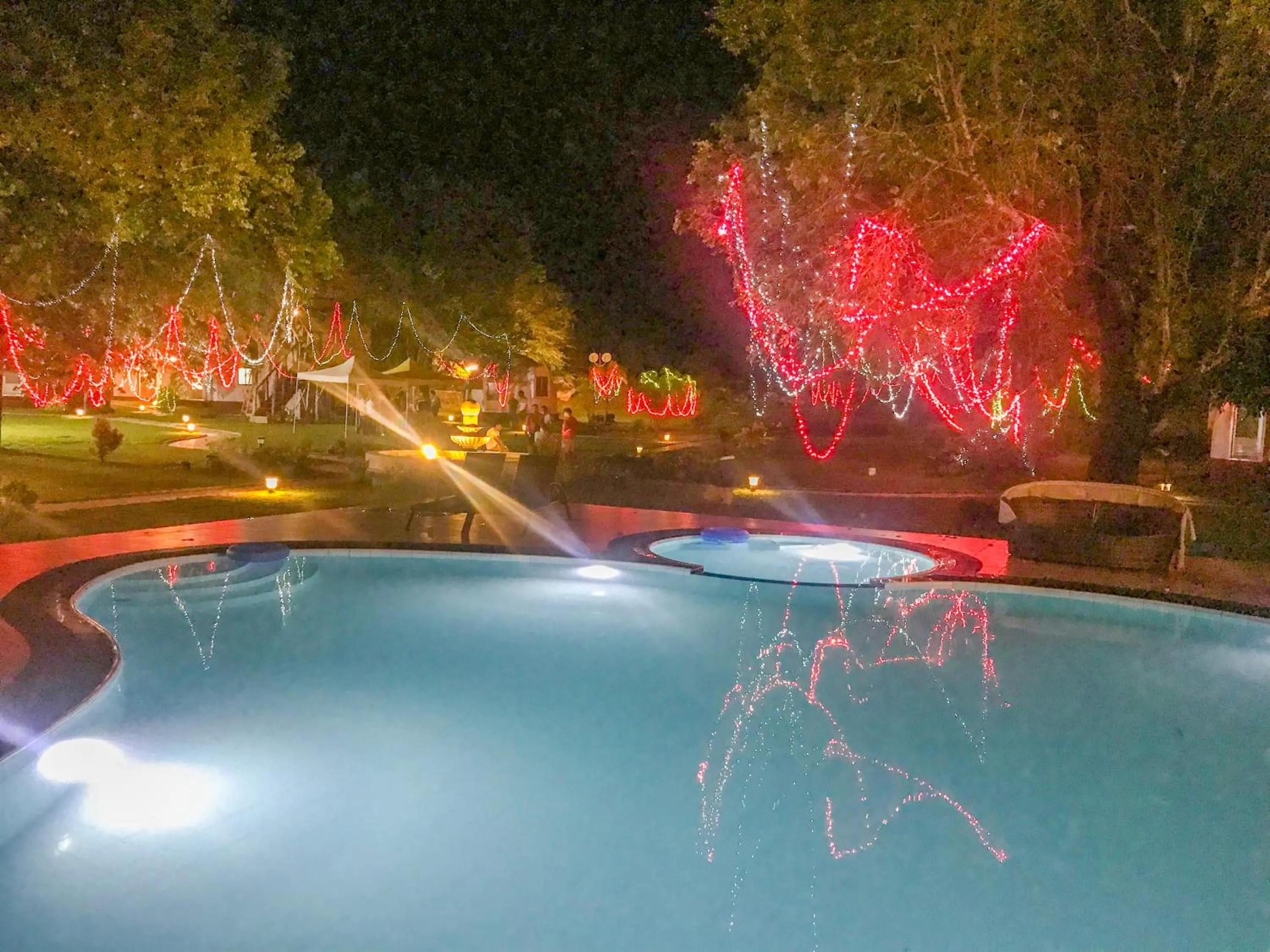 The Lion Kingdom Sigiriya