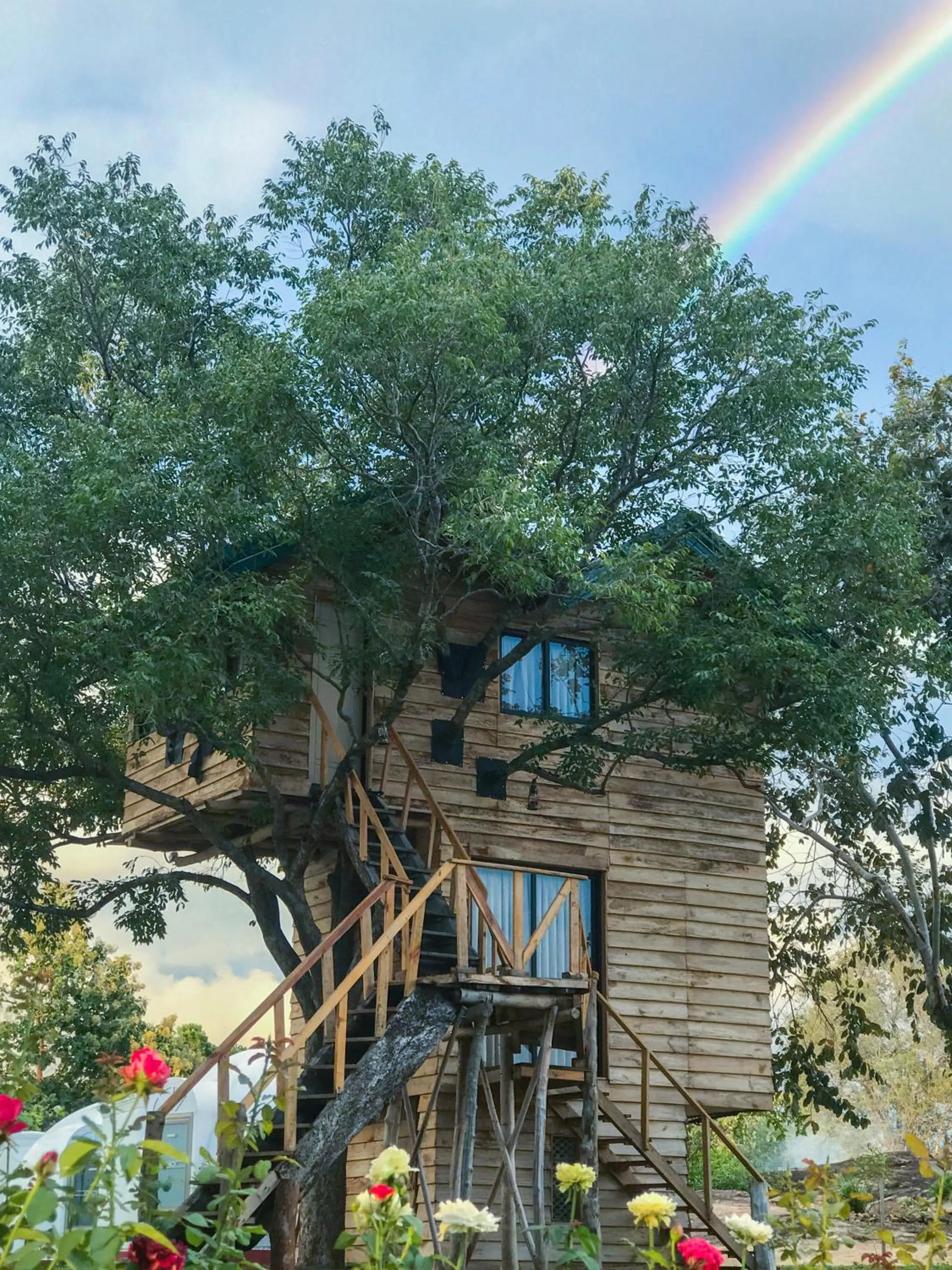 The Lion Kingdom Sigiriya