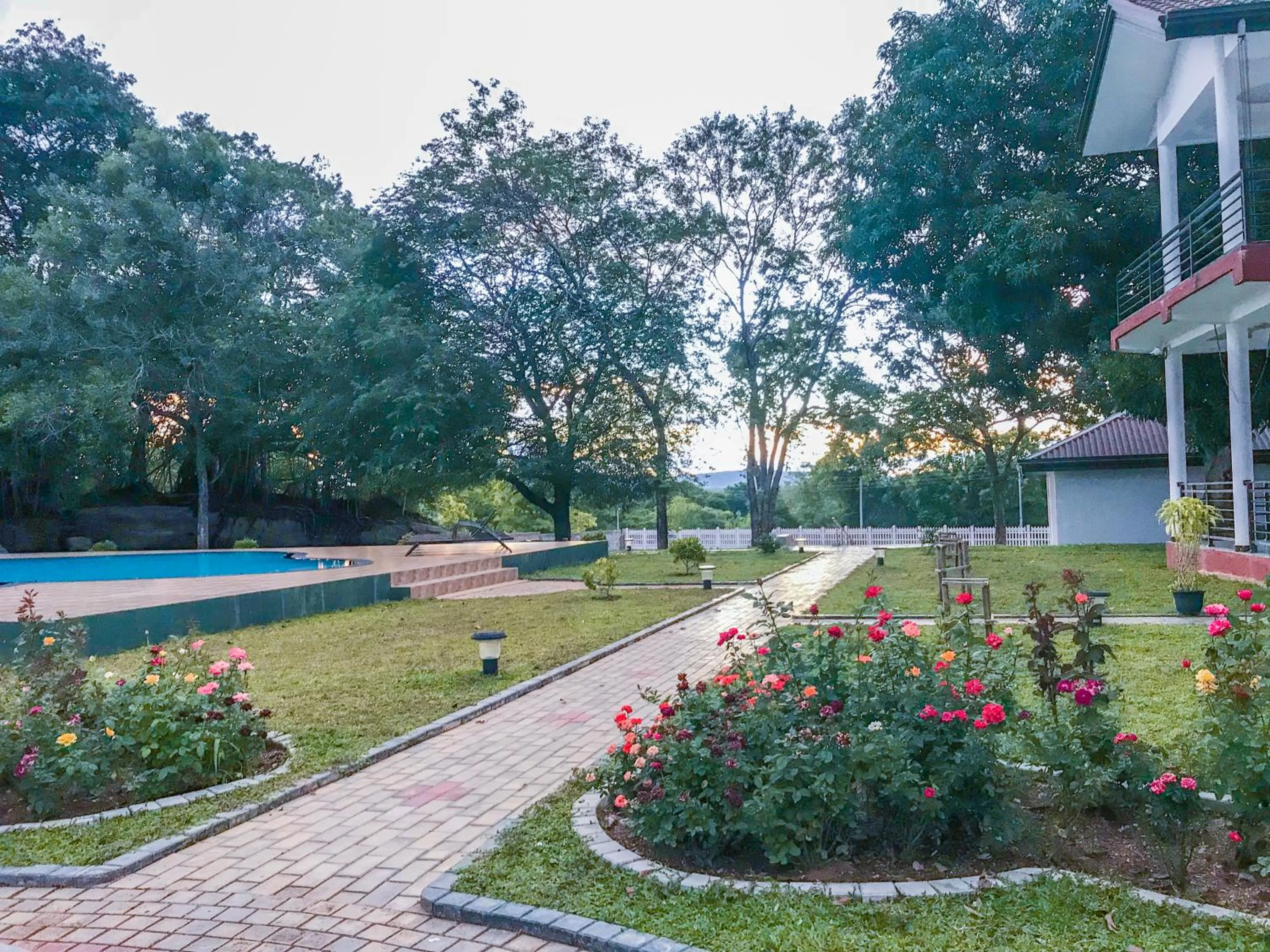 The Lion Kingdom Sigiriya
