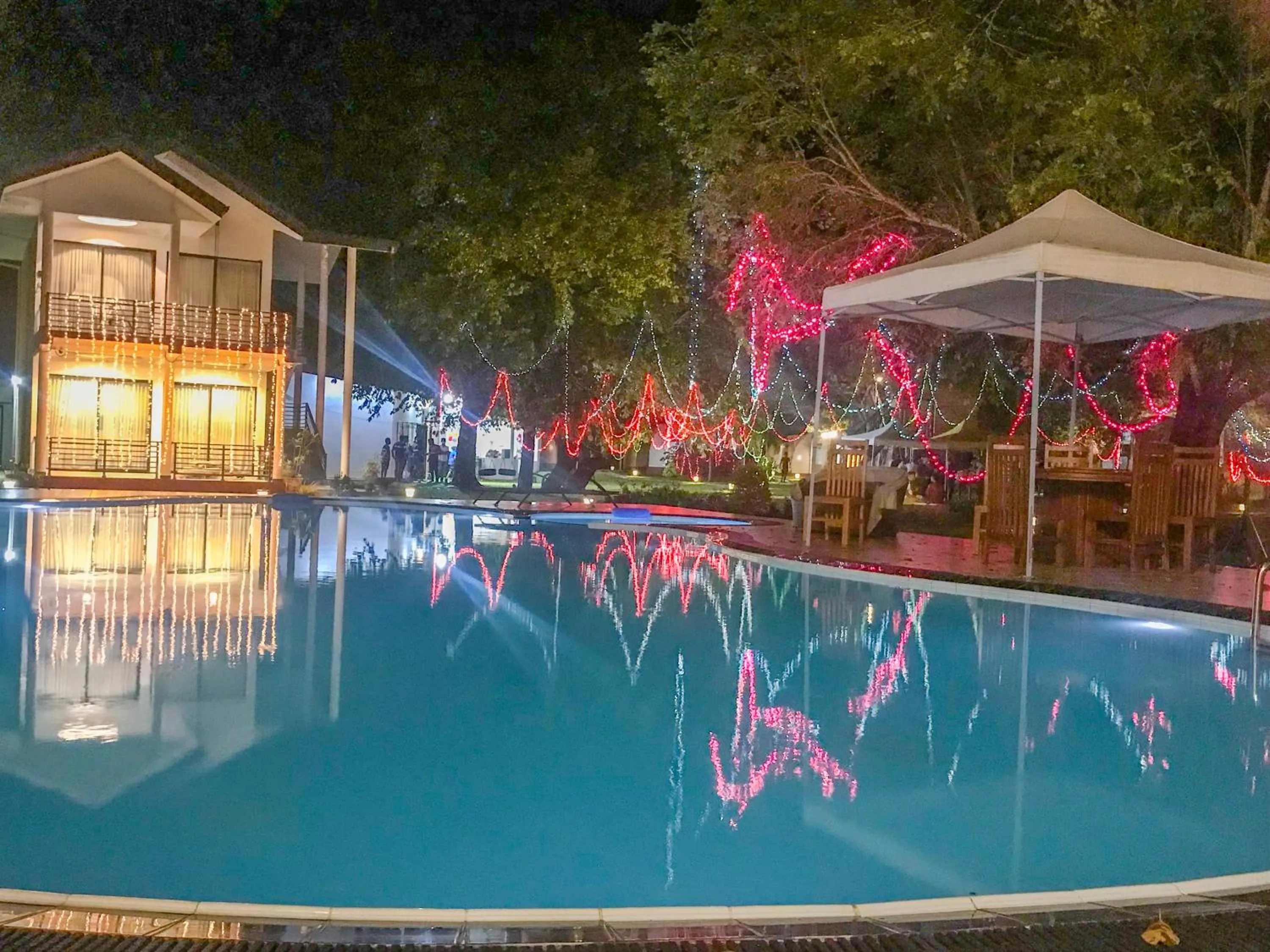The Lion Kingdom Sigiriya
