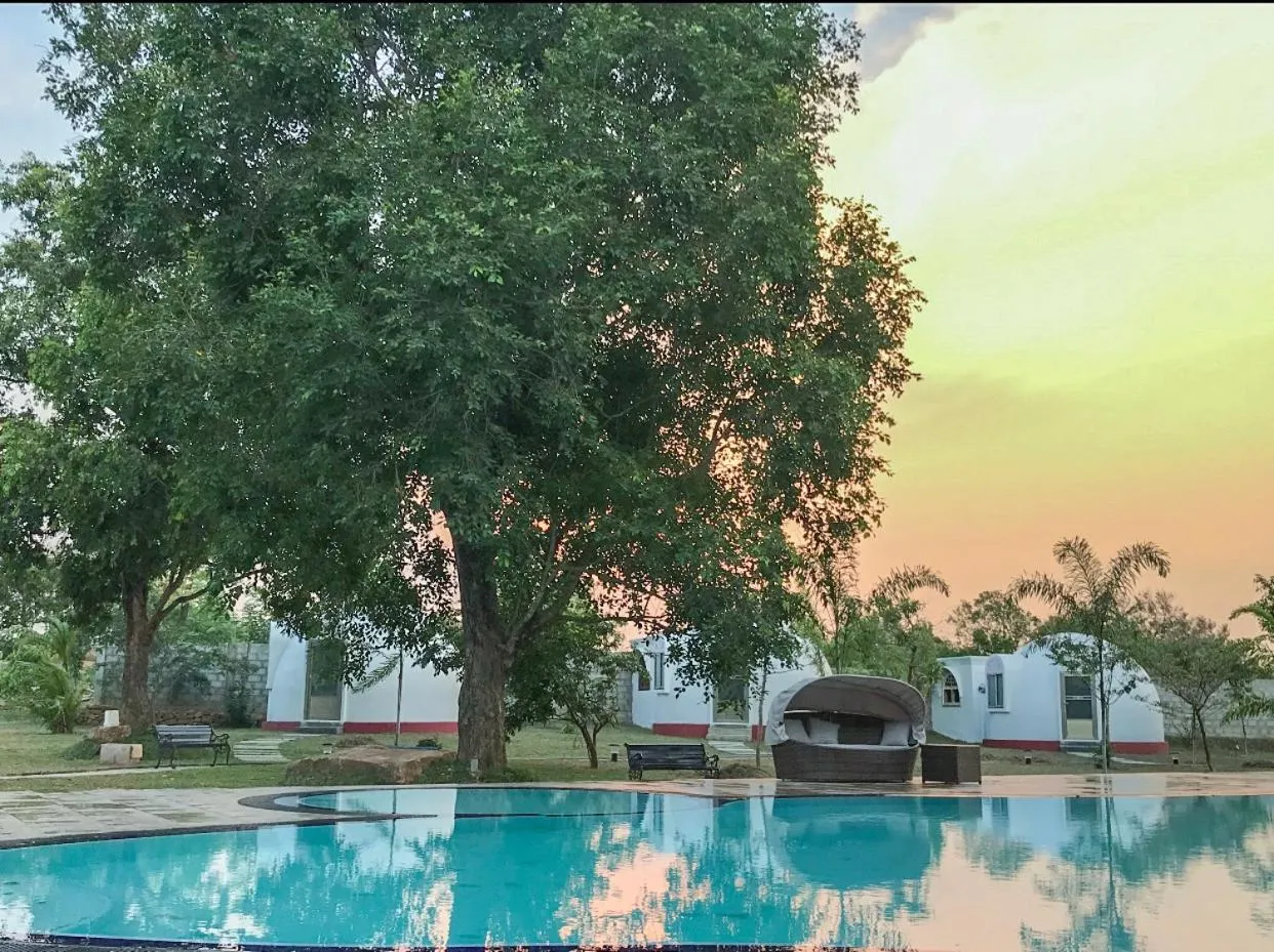 The Lion Kingdom Sigiriya