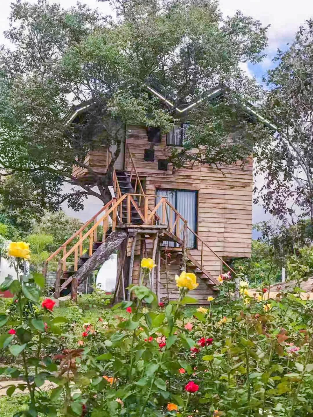 The Lion Kingdom Sigiriya