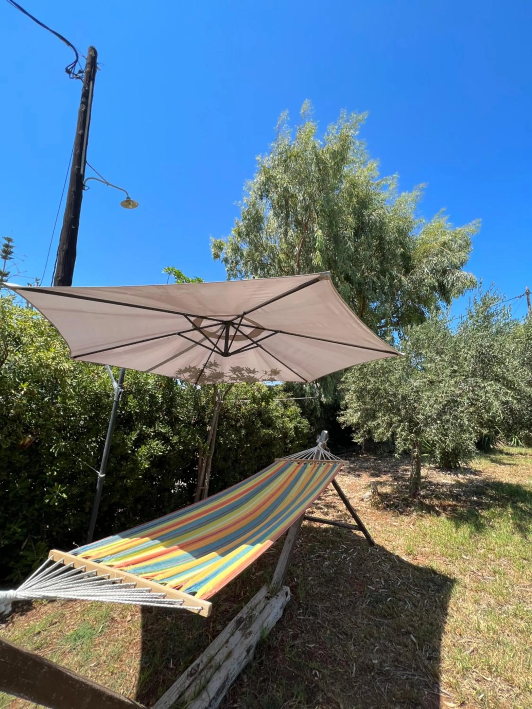 Natural landscape in Portokali Apartments