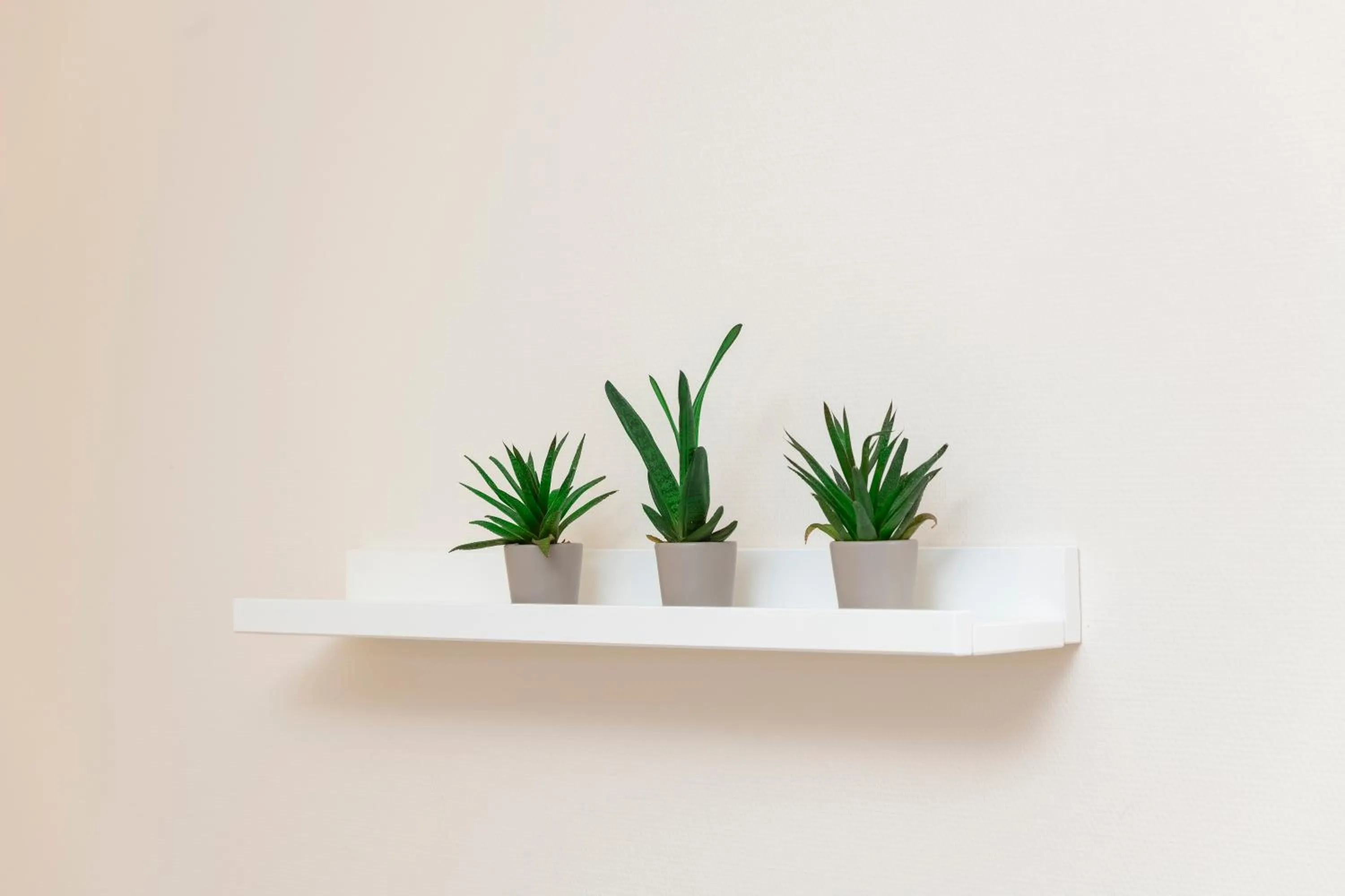 Decorative detail in Hotel Restaurant Sokrates