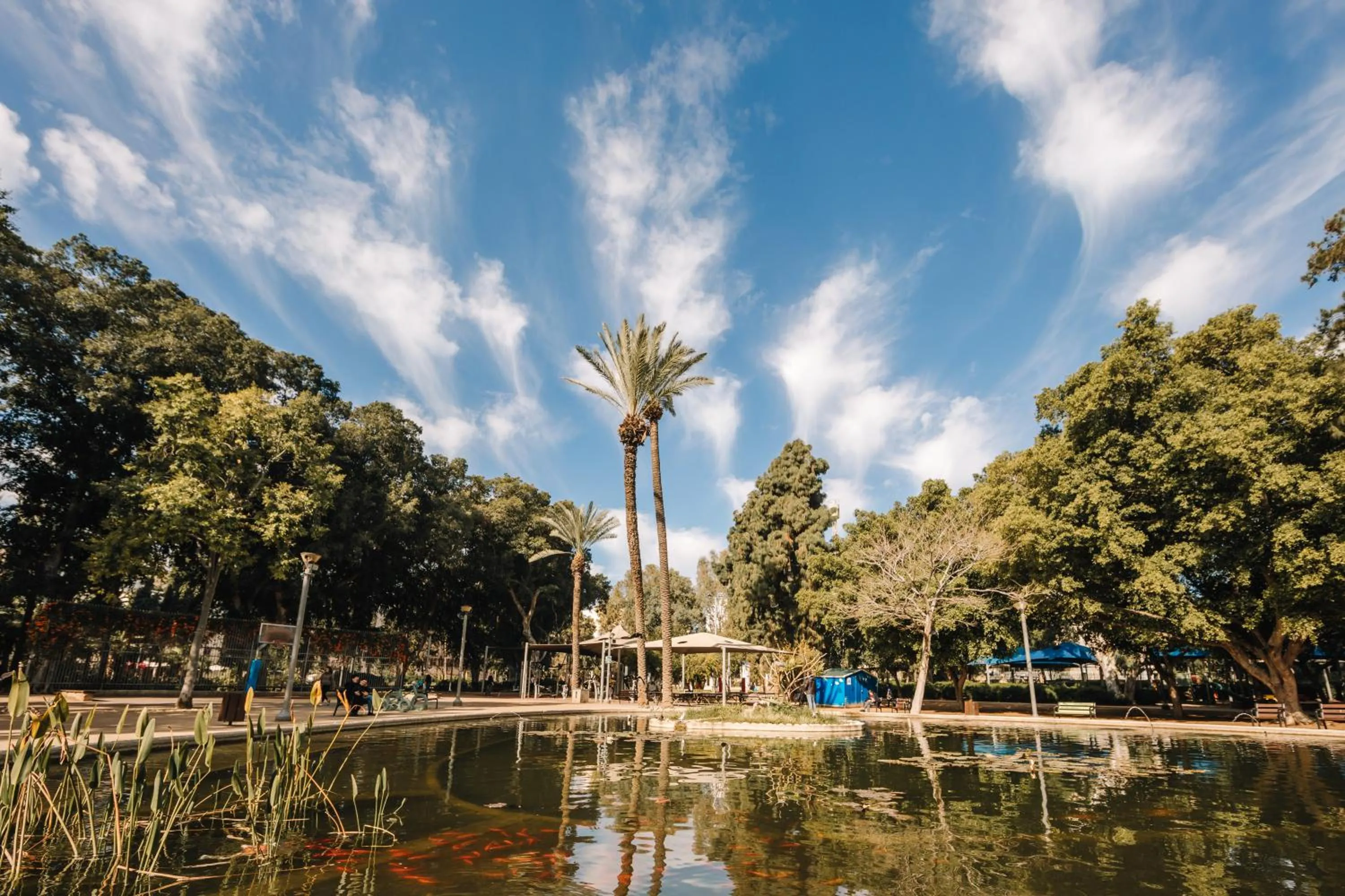 Neighbourhood in King's Rooftop Studios