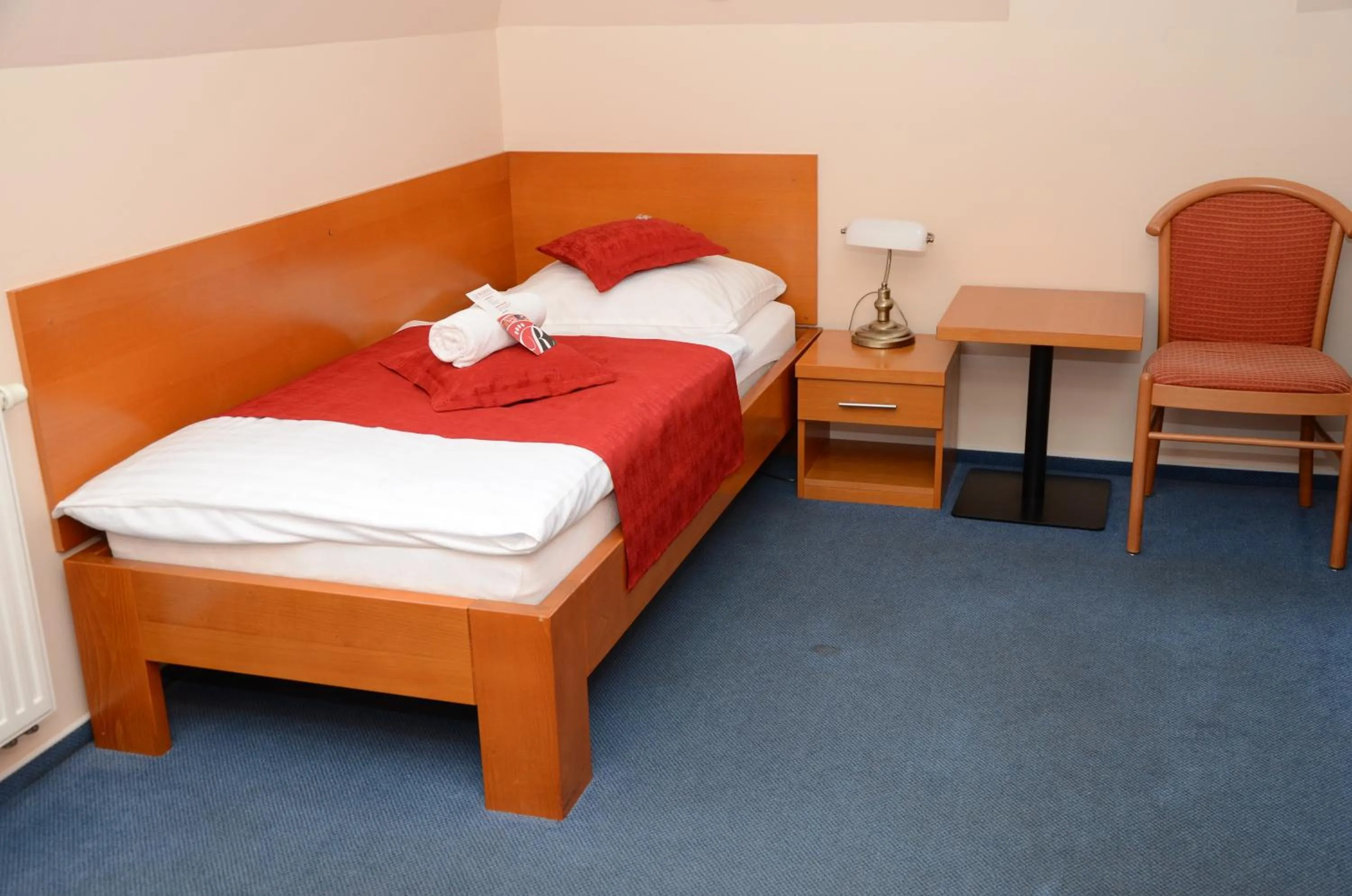 Single Room - single occupancy in Hotel Rudolf