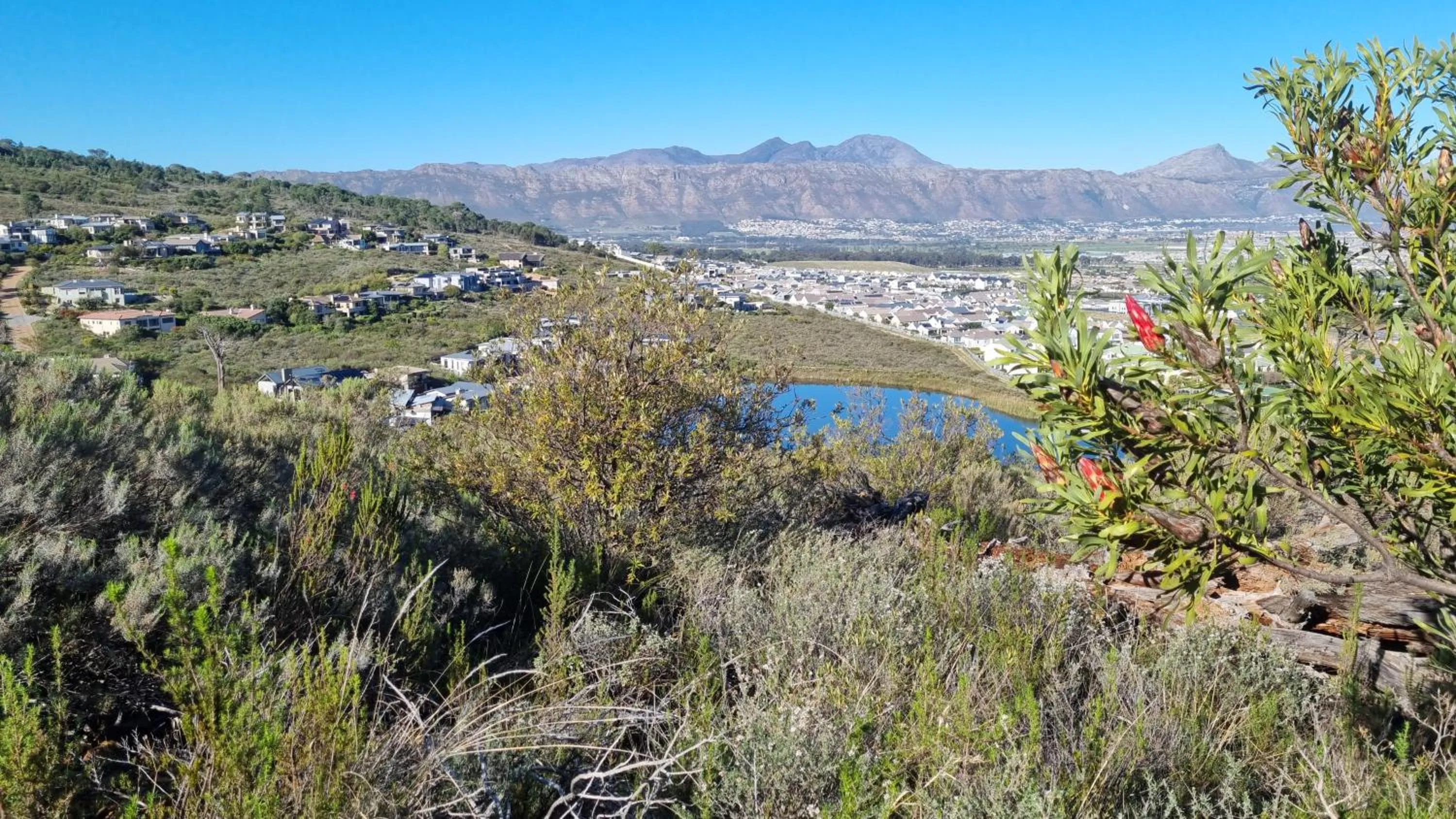 Natural landscape in Vrede Selfcatering