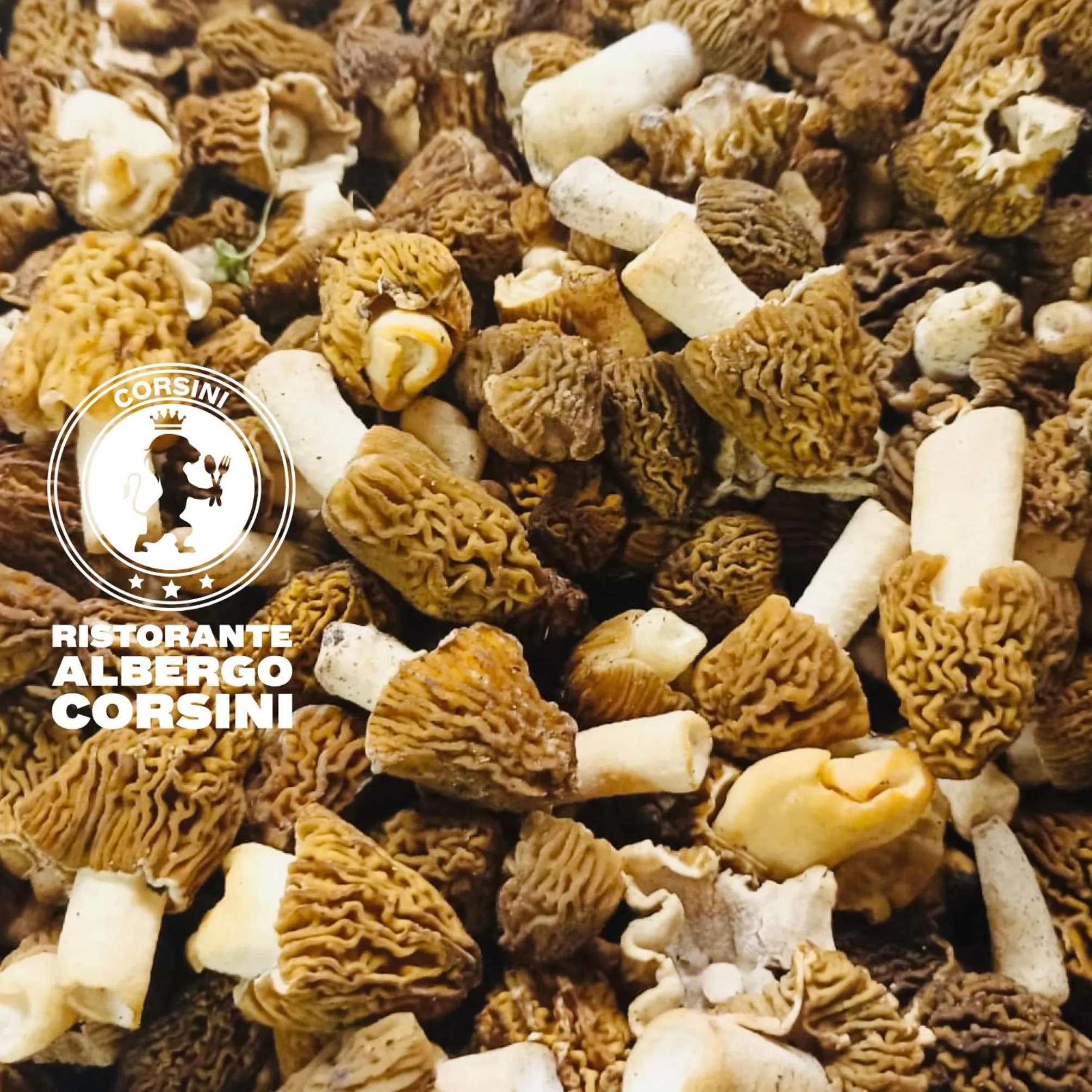 Restaurant/places to eat in Albergo Ristorante Corsini