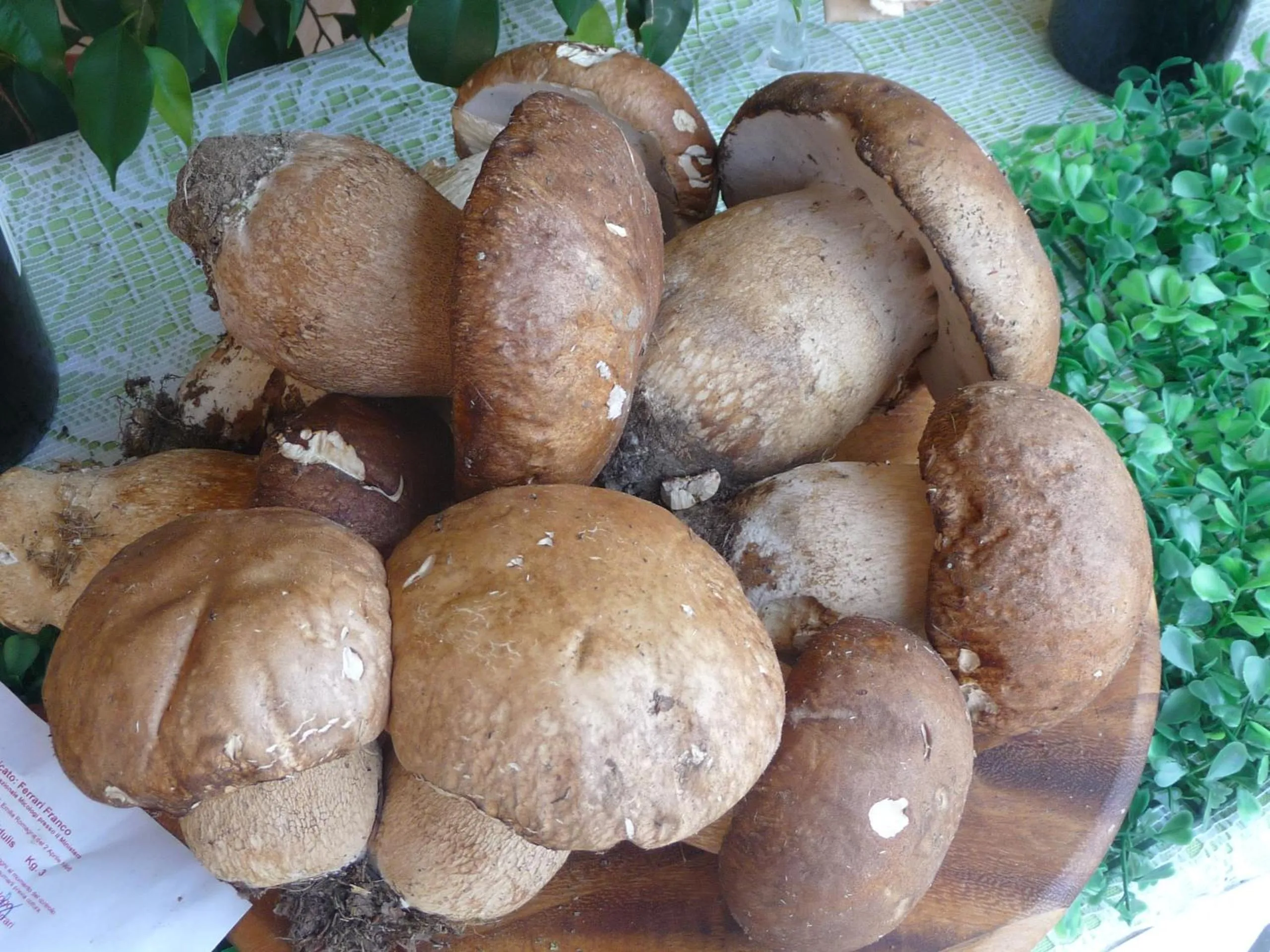 Restaurant/places to eat in Albergo Ristorante Corsini