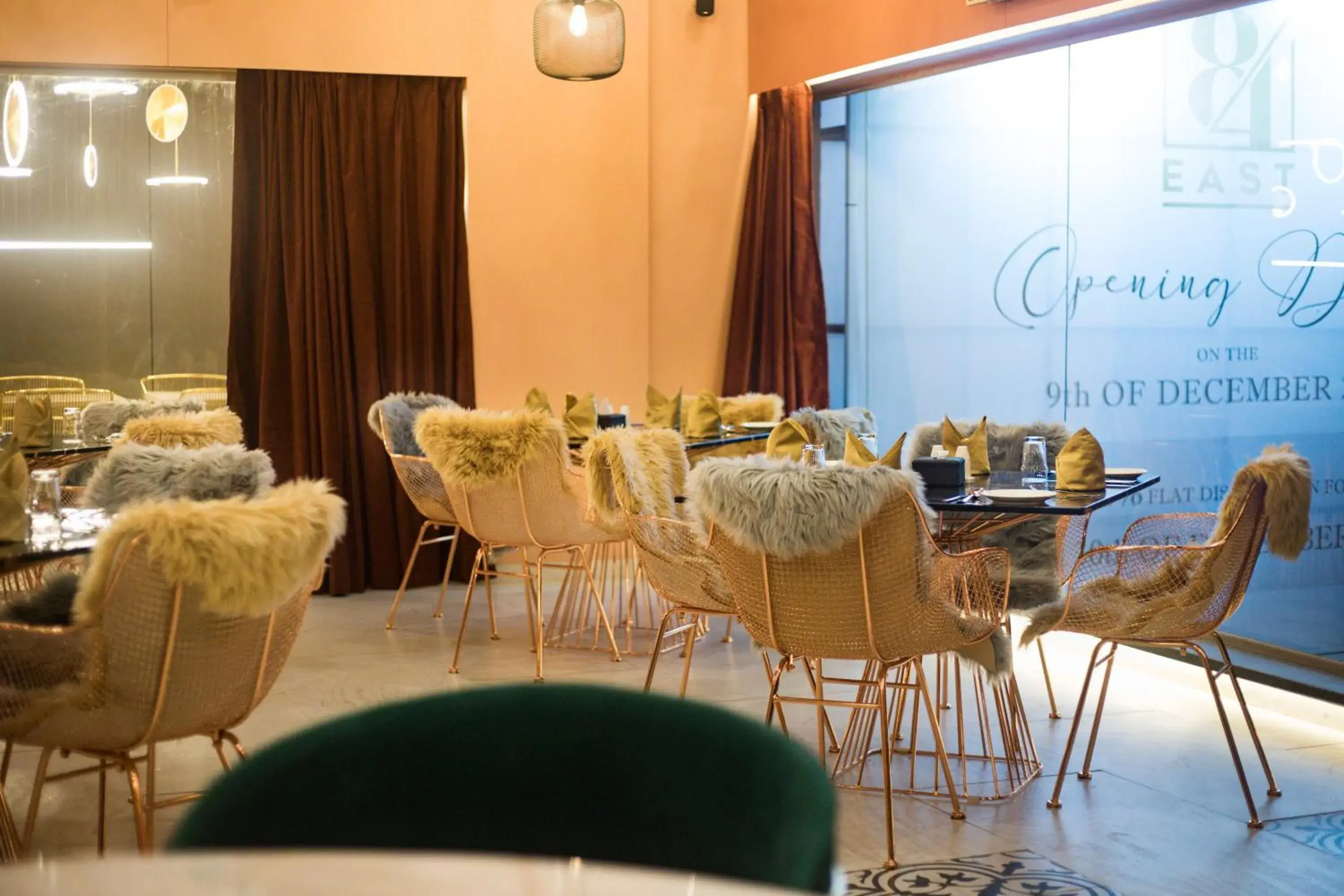 Restaurant/places to eat in Little Mastiff Moshi by OTHPL Restaurant/places to eat in Little Mastiff Moshi by OTHPL