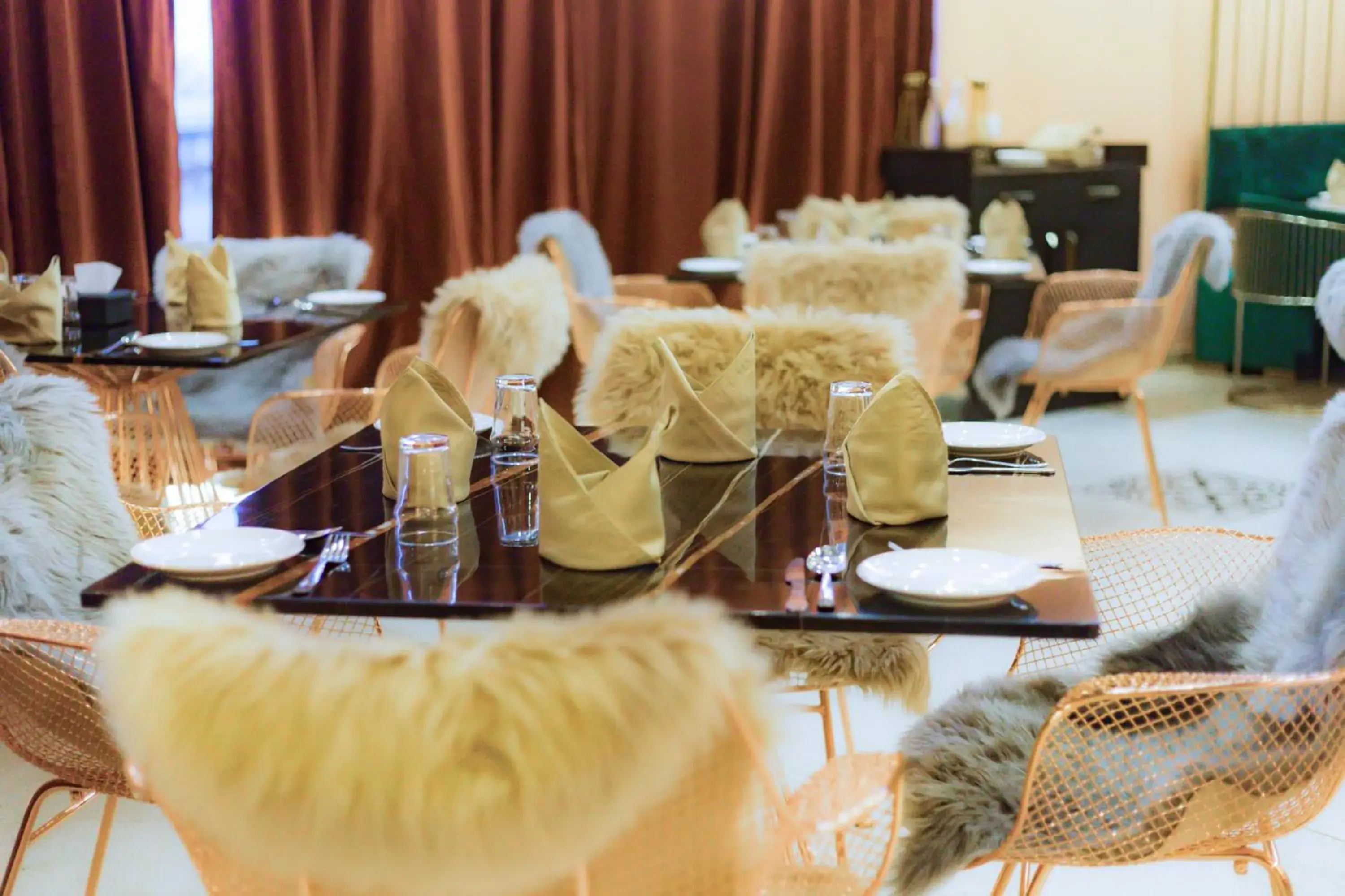 Restaurant/places to eat in Little Mastiff Moshi by OTHPL Restaurant/places to eat in Little Mastiff Moshi by OTHPL