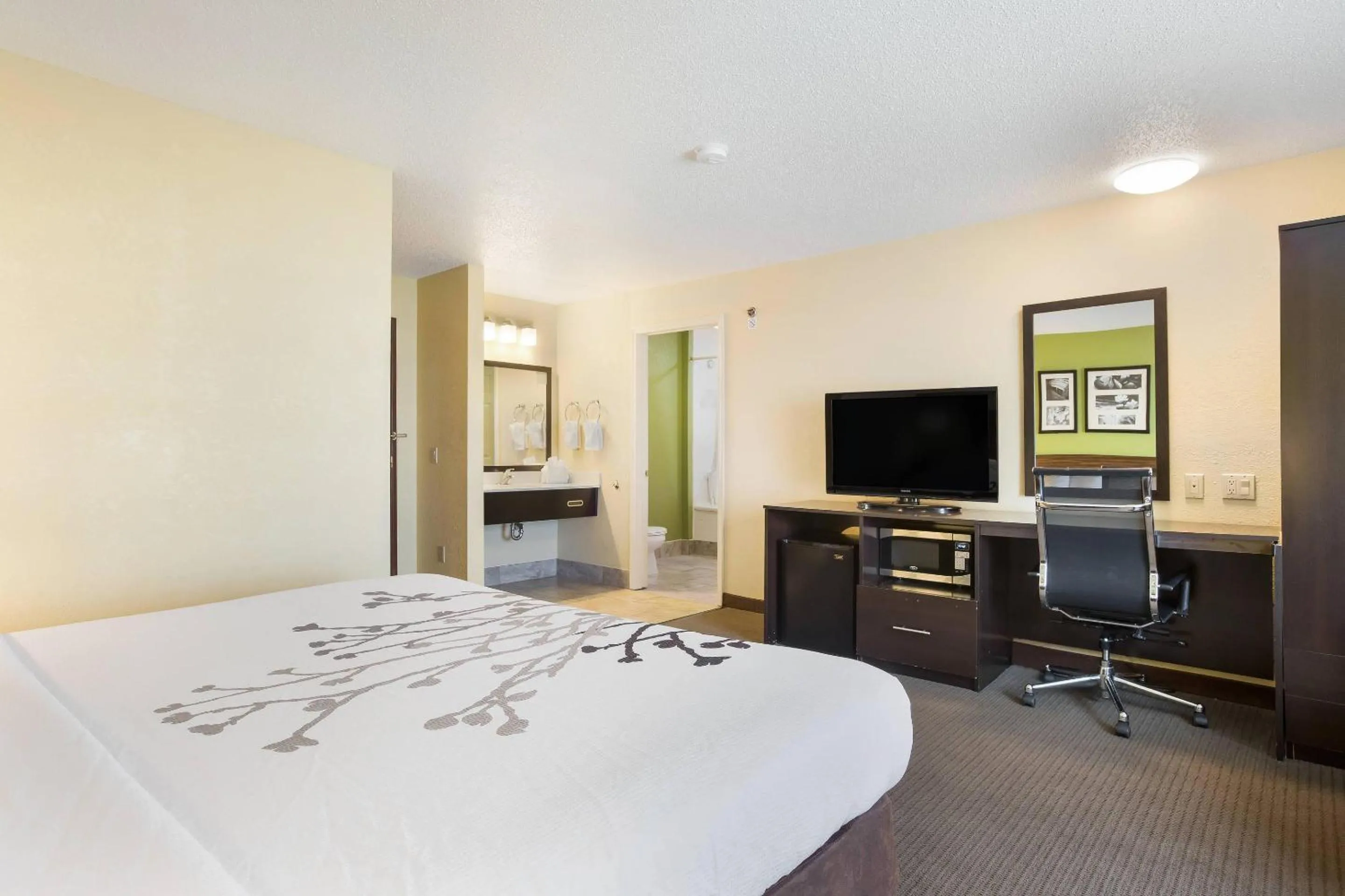 Bedroom, Bed in Sleep Inn & Suites Grand Rapids Southeast - Kentwood