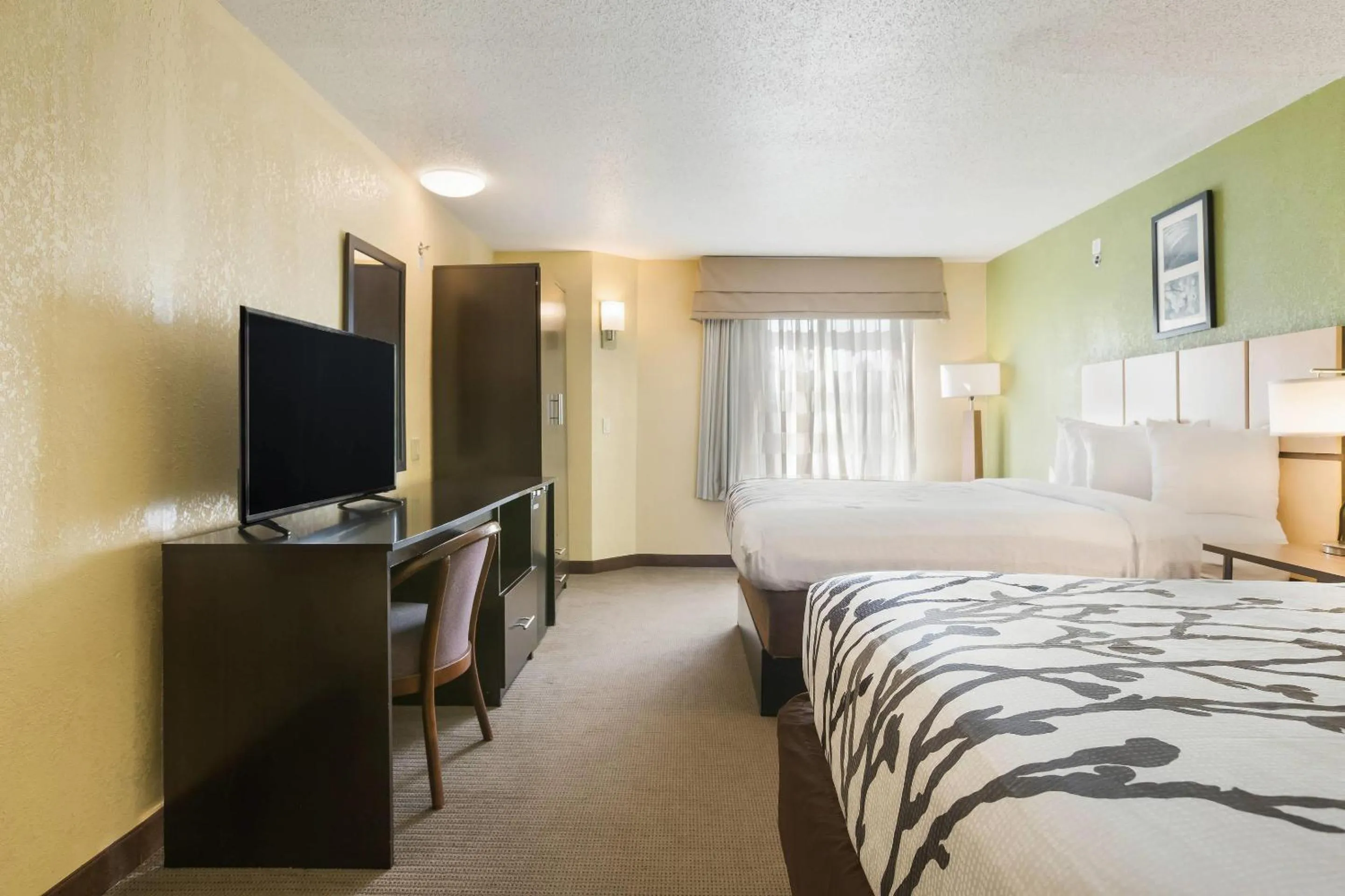 Bedroom, Bed in Sleep Inn & Suites Grand Rapids Southeast - Kentwood