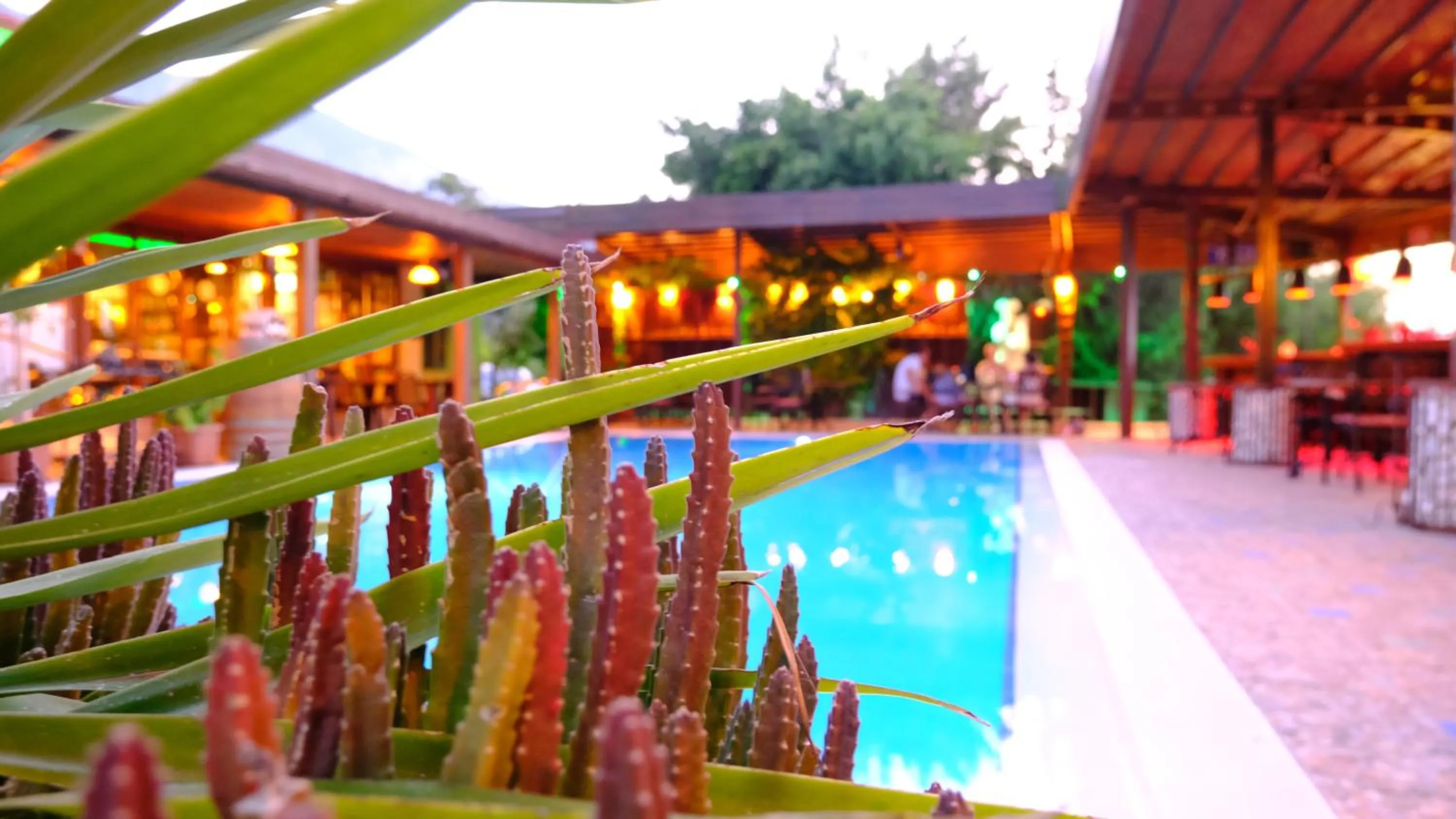 Bella View Art Boutique Hotel