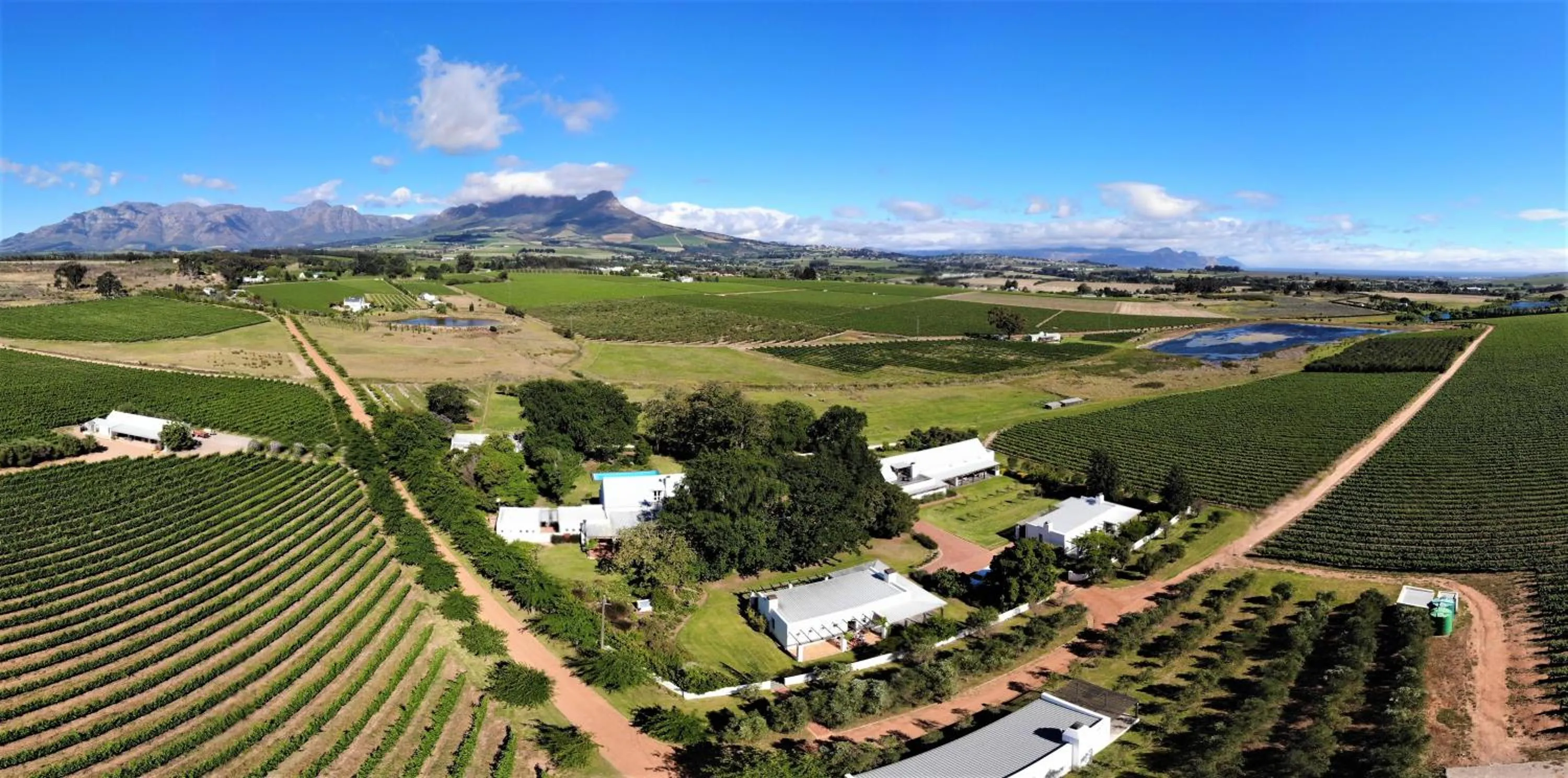 Property building in Klein Welmoed Luxury Guest House