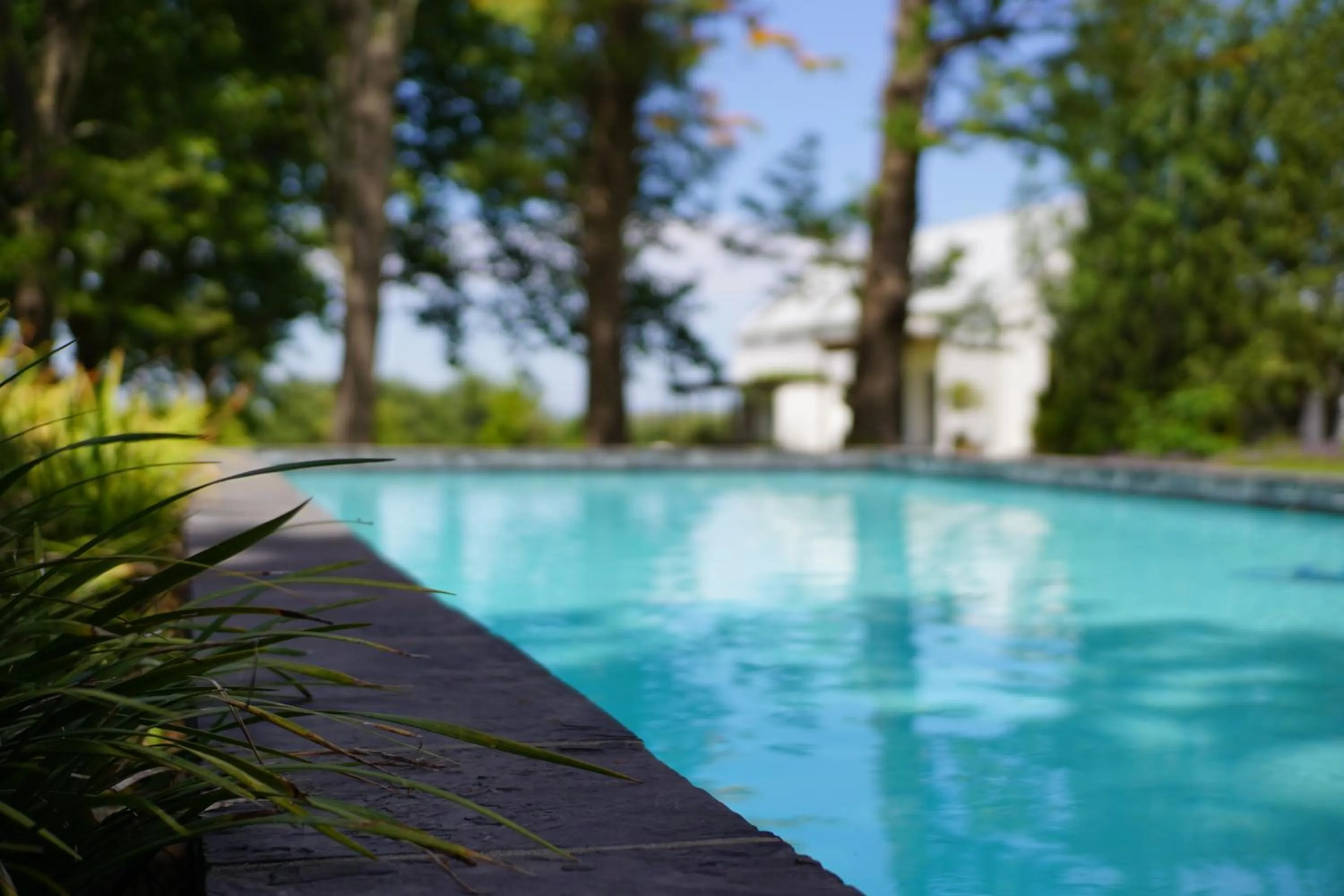 Swimming pool in Klein Welmoed Luxury Guest House