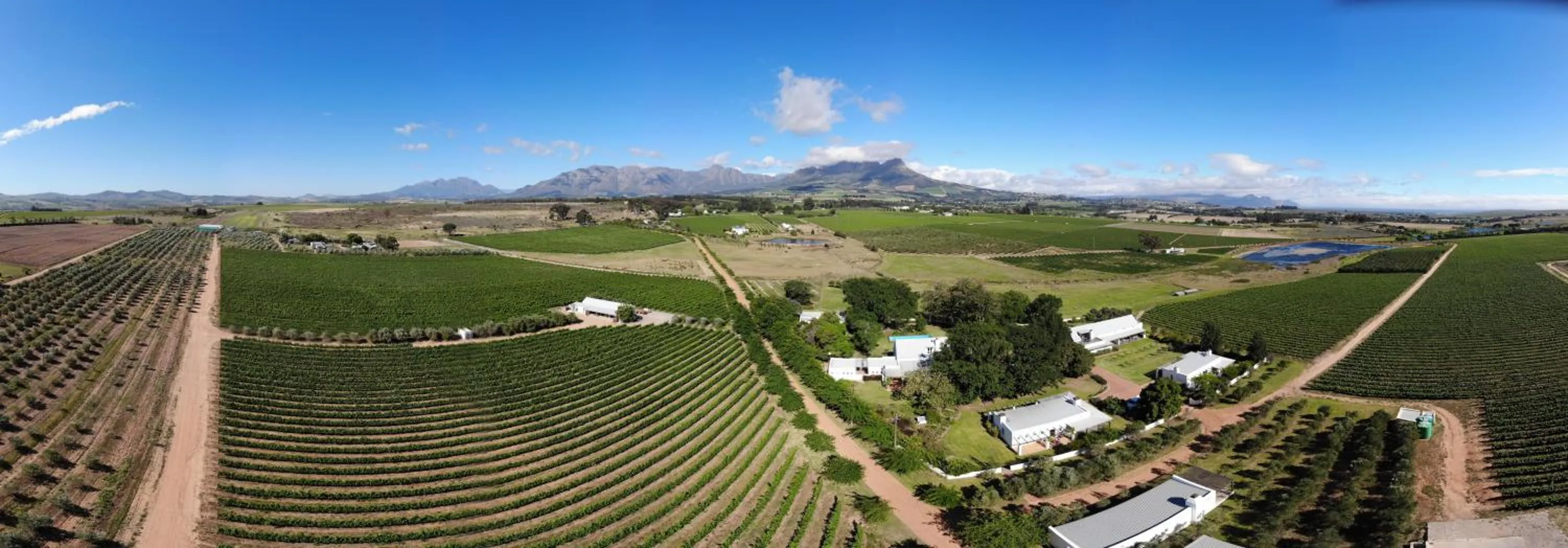 Property building in Klein Welmoed Luxury Guest House