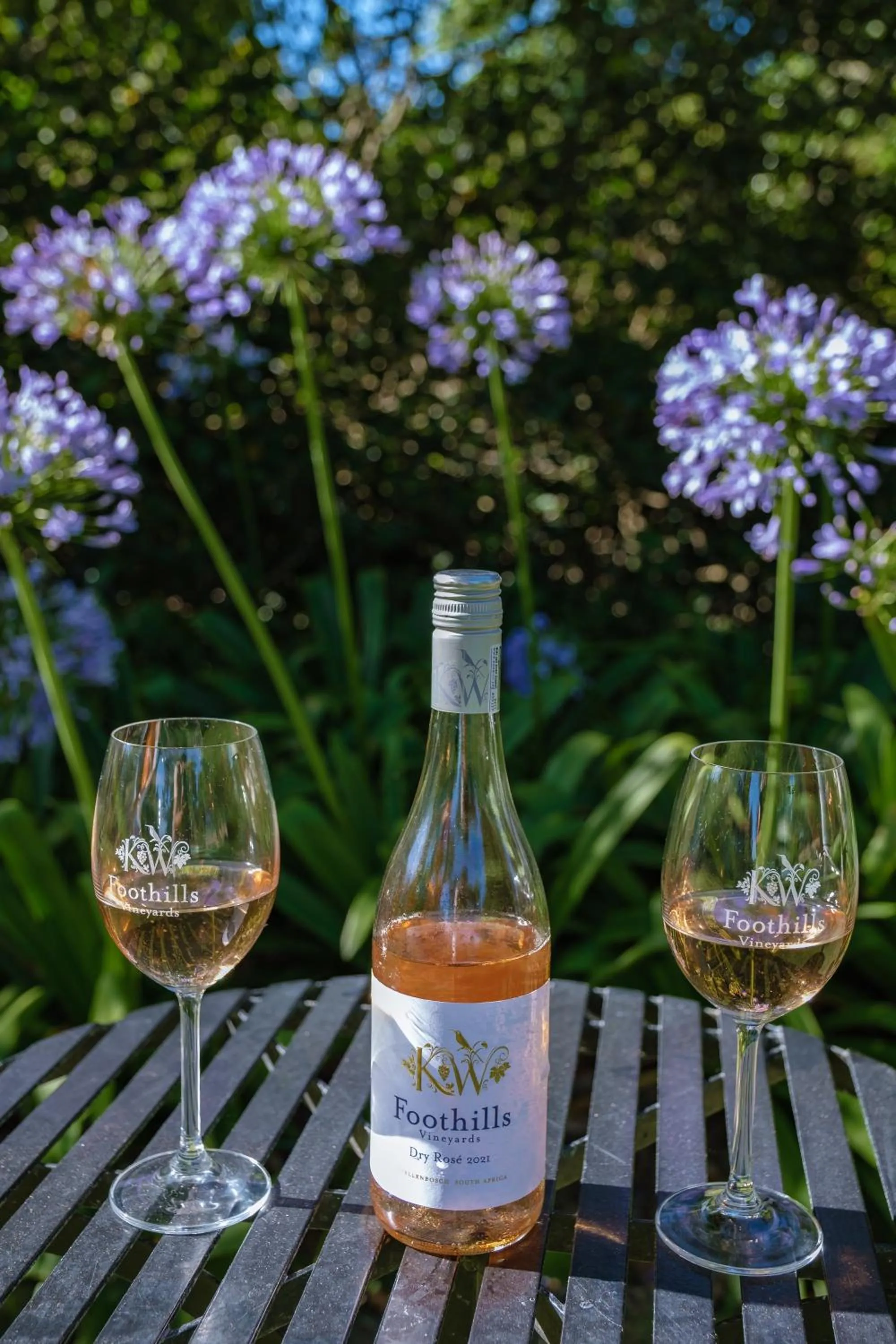 Entertainment in Klein Welmoed Luxury Guest House