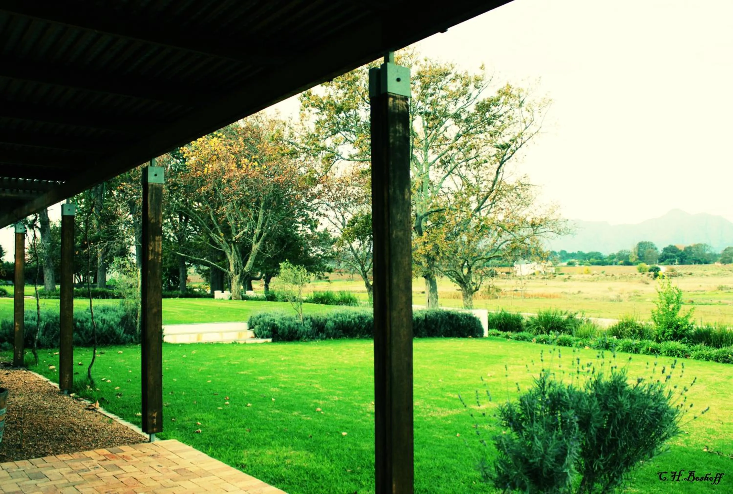 Garden in Klein Welmoed Luxury Guest House