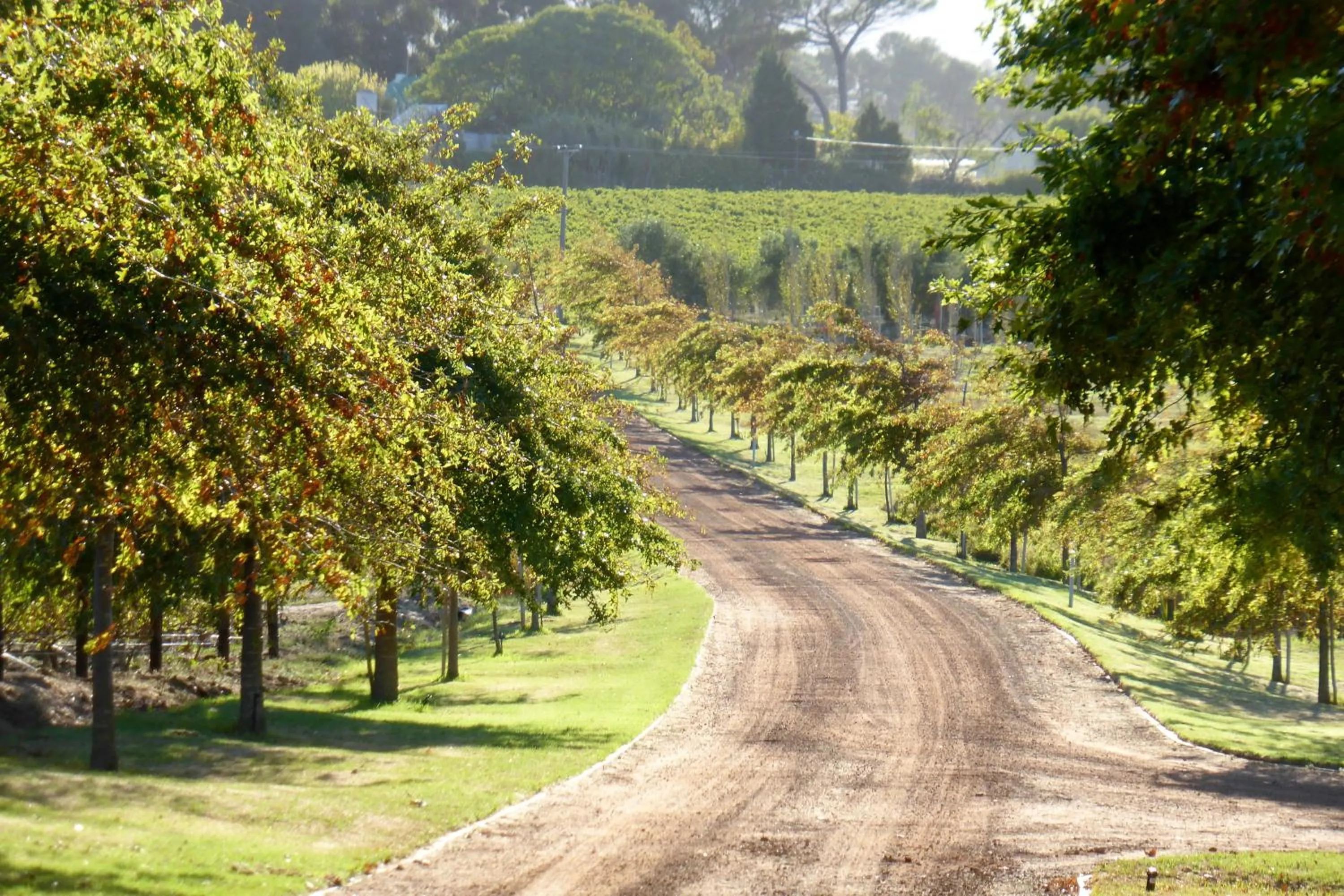 Facade/entrance in Klein Welmoed Luxury Guest House