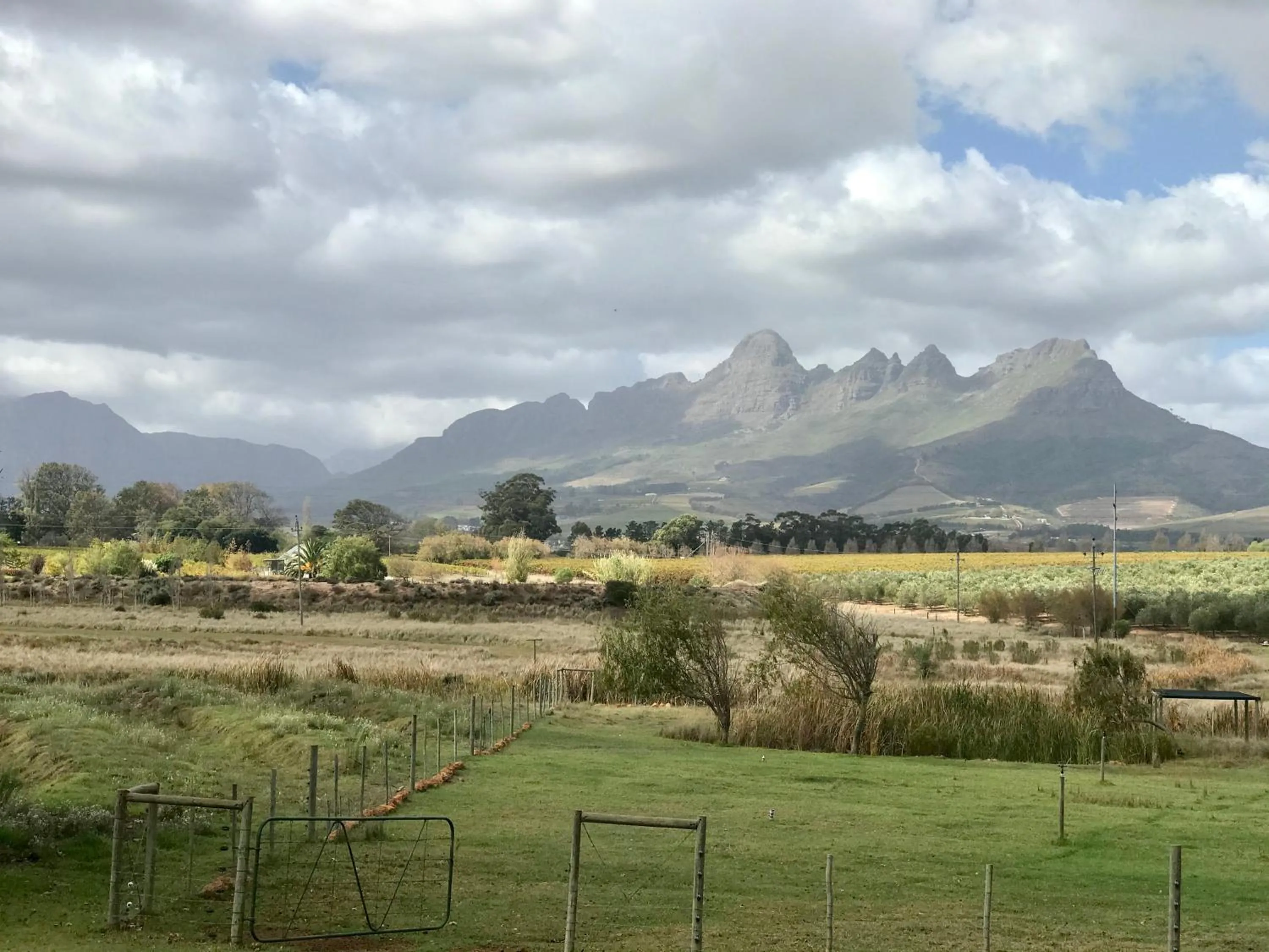 Natural landscape in Klein Welmoed Luxury Guest House