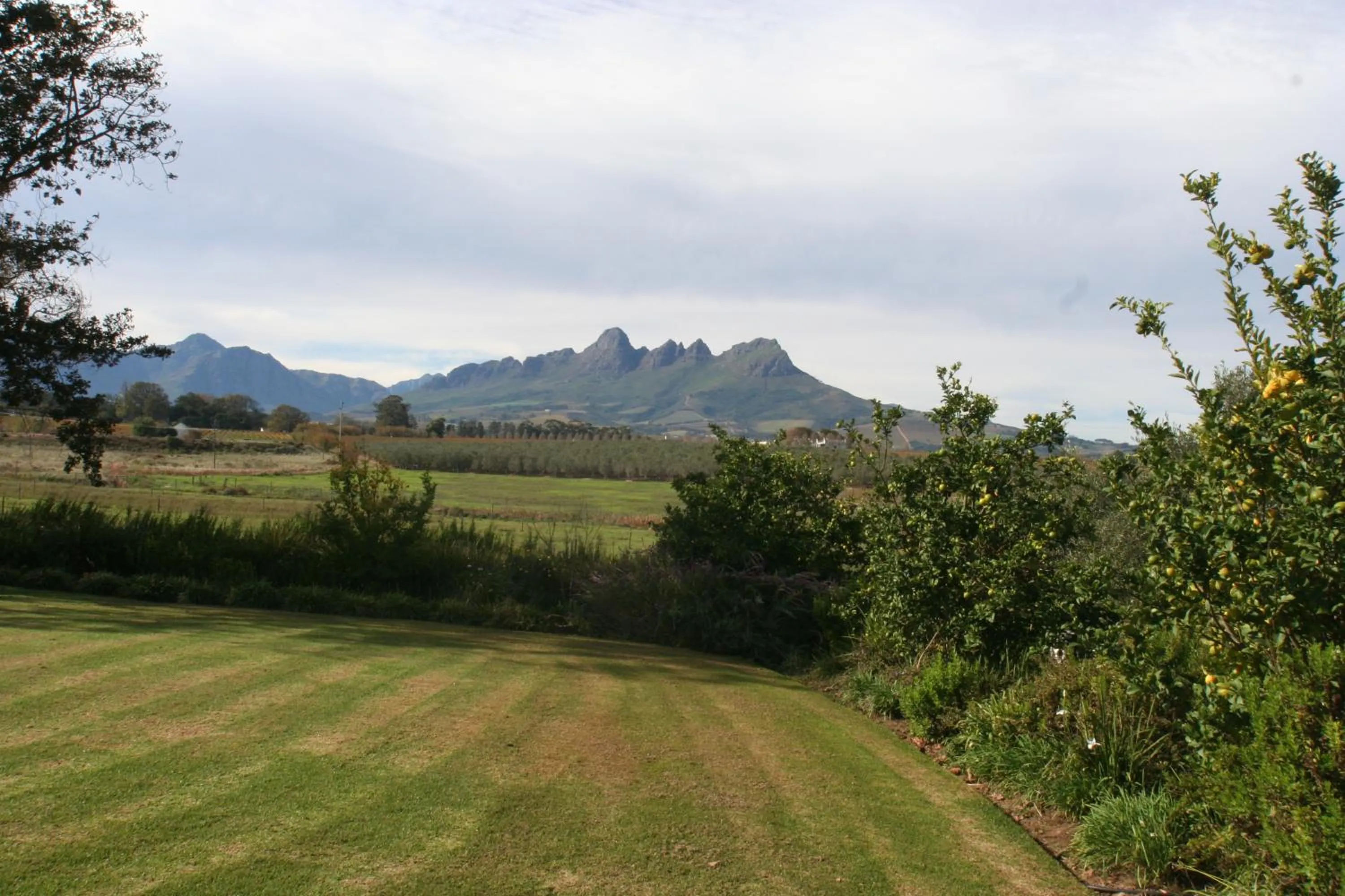 Bird's eye view in Klein Welmoed Luxury Guest House