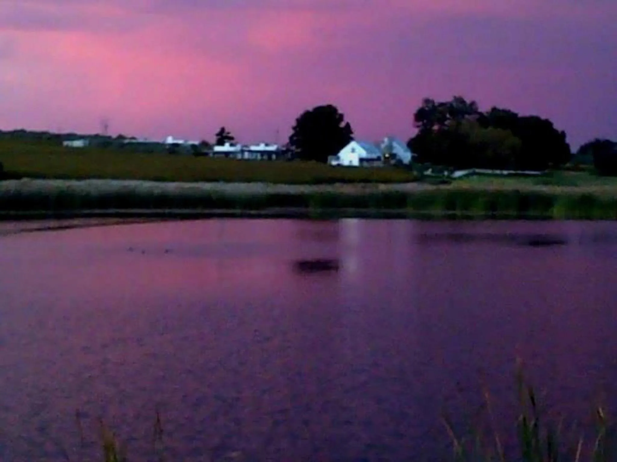 Natural landscape in Klein Welmoed Luxury Guest House