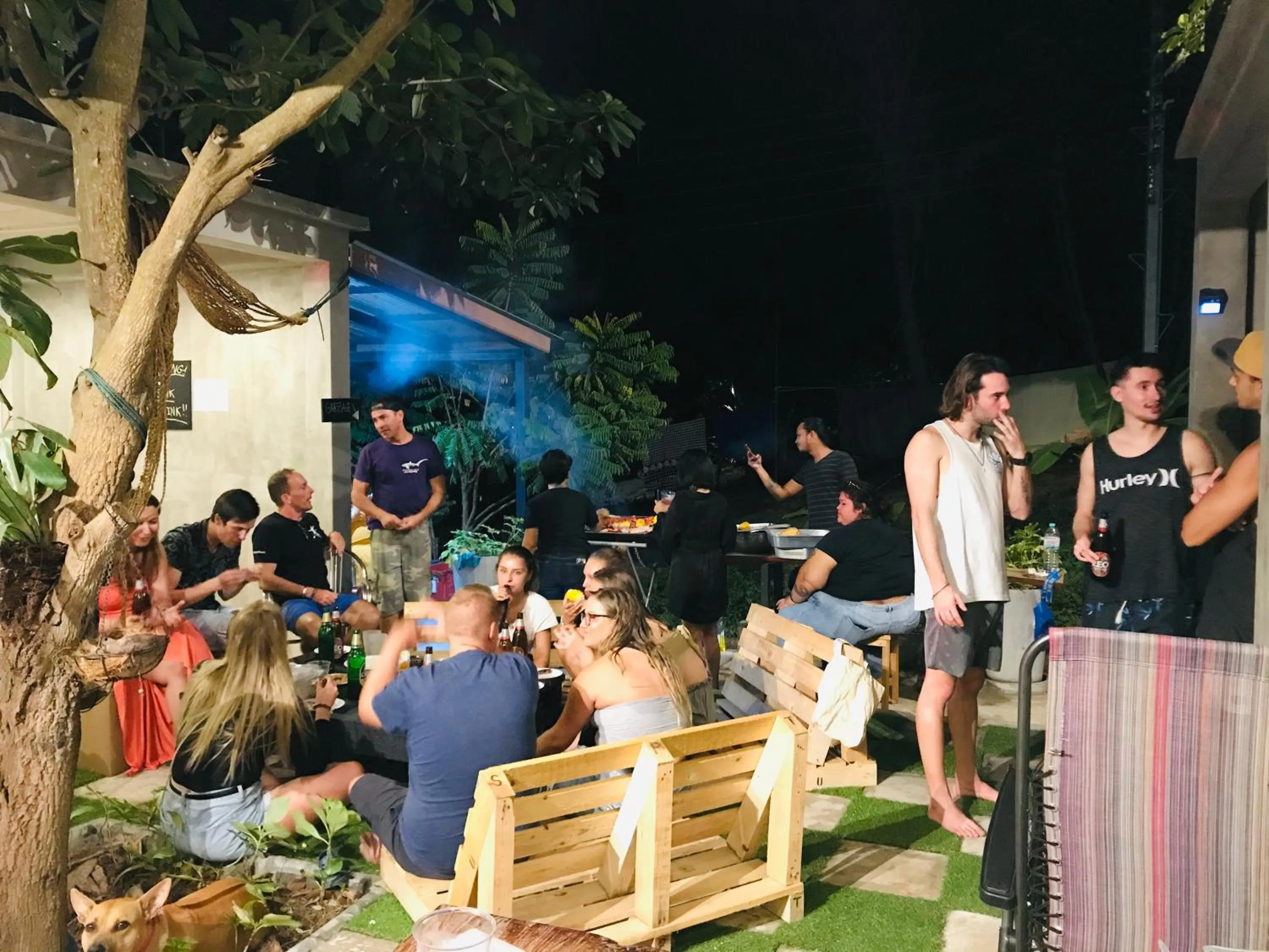 Live In Leaf Koh Tao