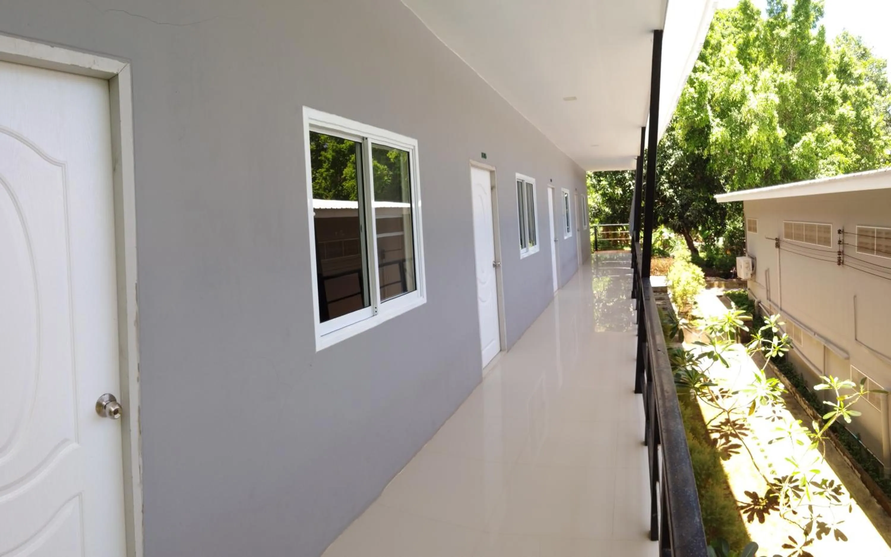 Live In Leaf Koh Tao