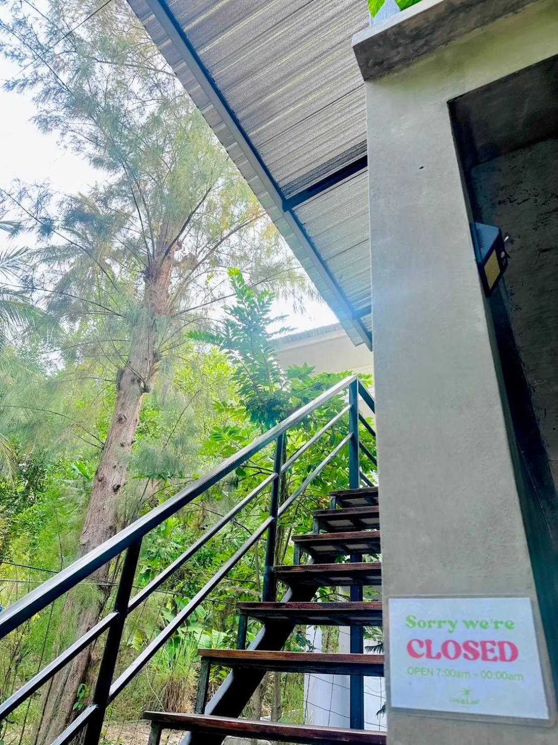 Live In Leaf Koh Tao