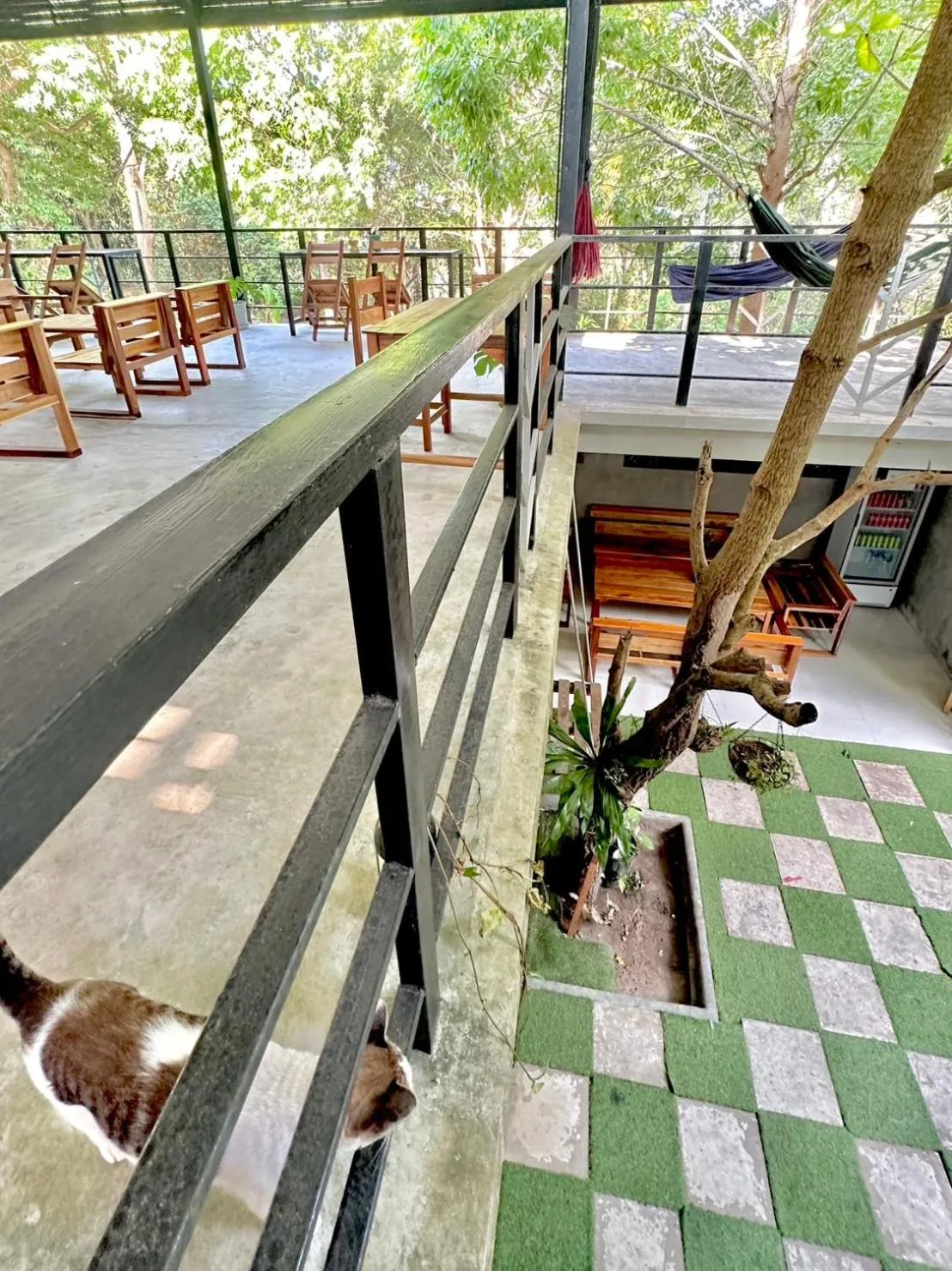 Live In Leaf Koh Tao