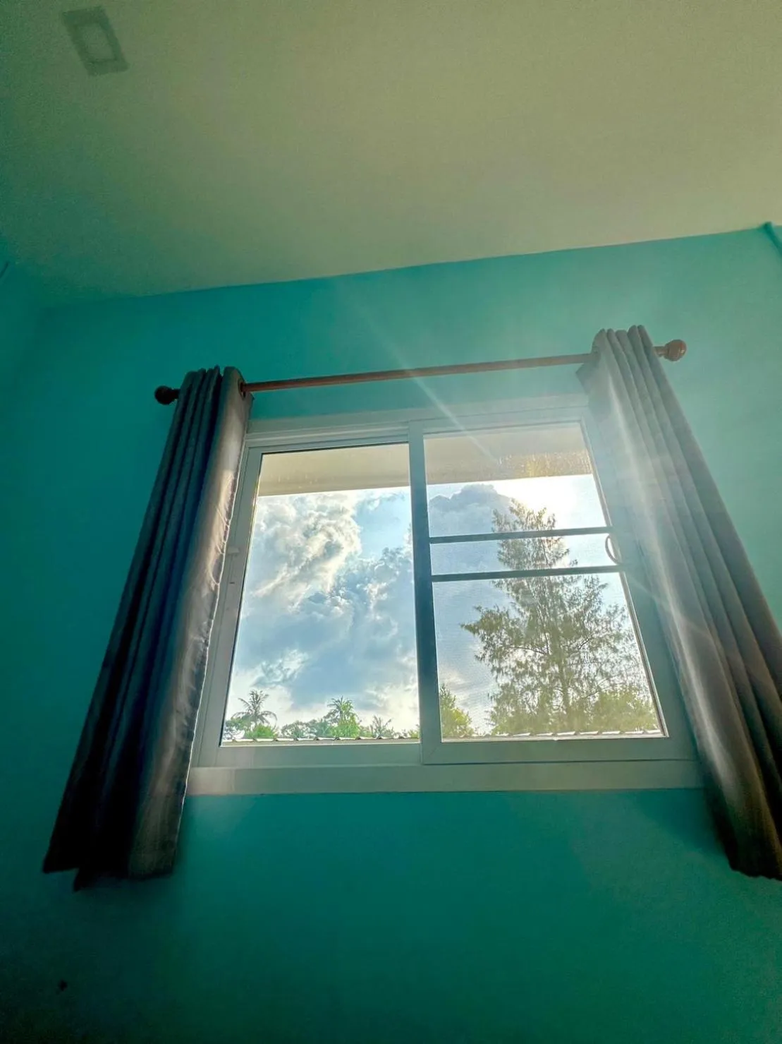 Live In Leaf Koh Tao