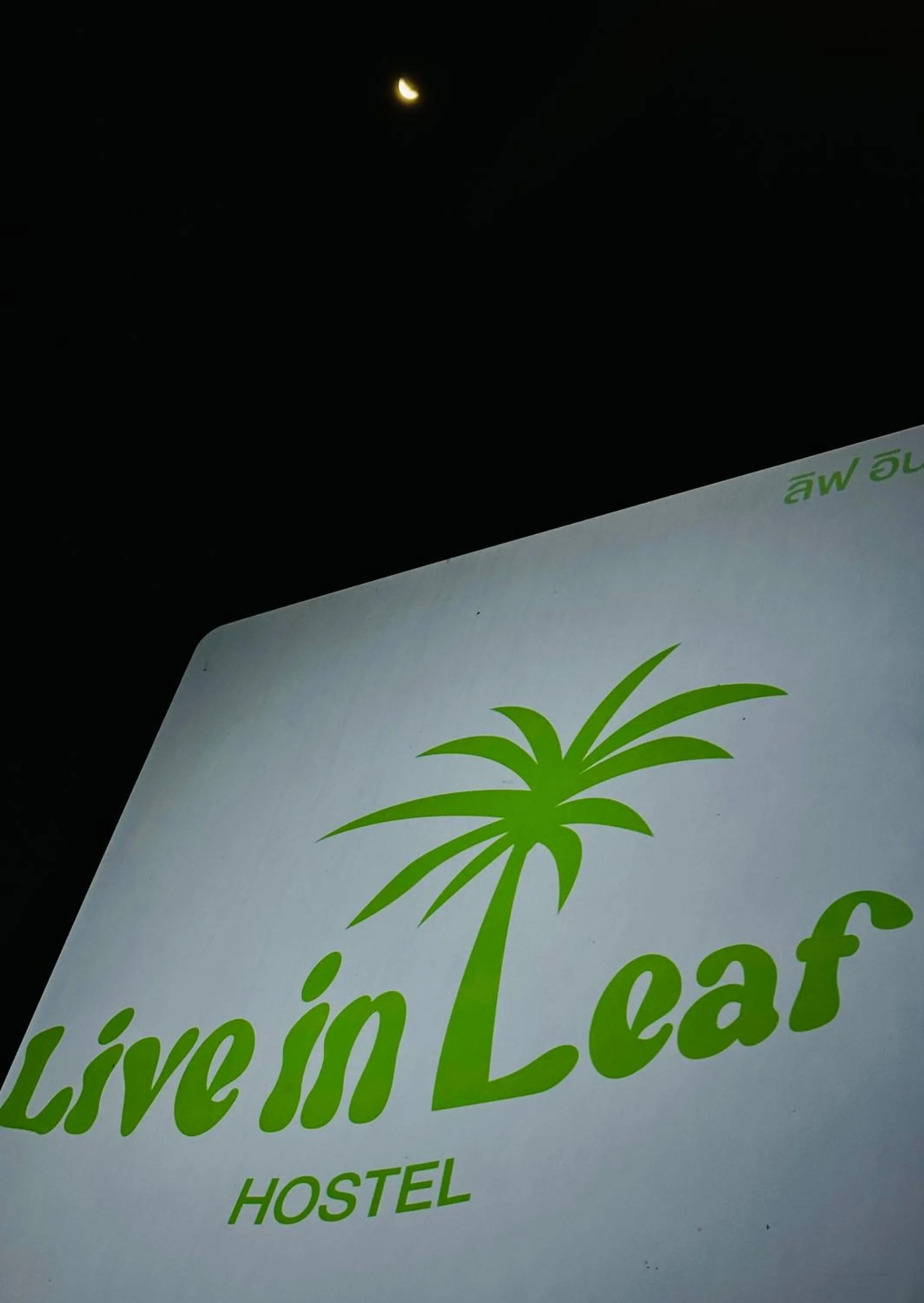 Night in Live In Leaf Koh Tao